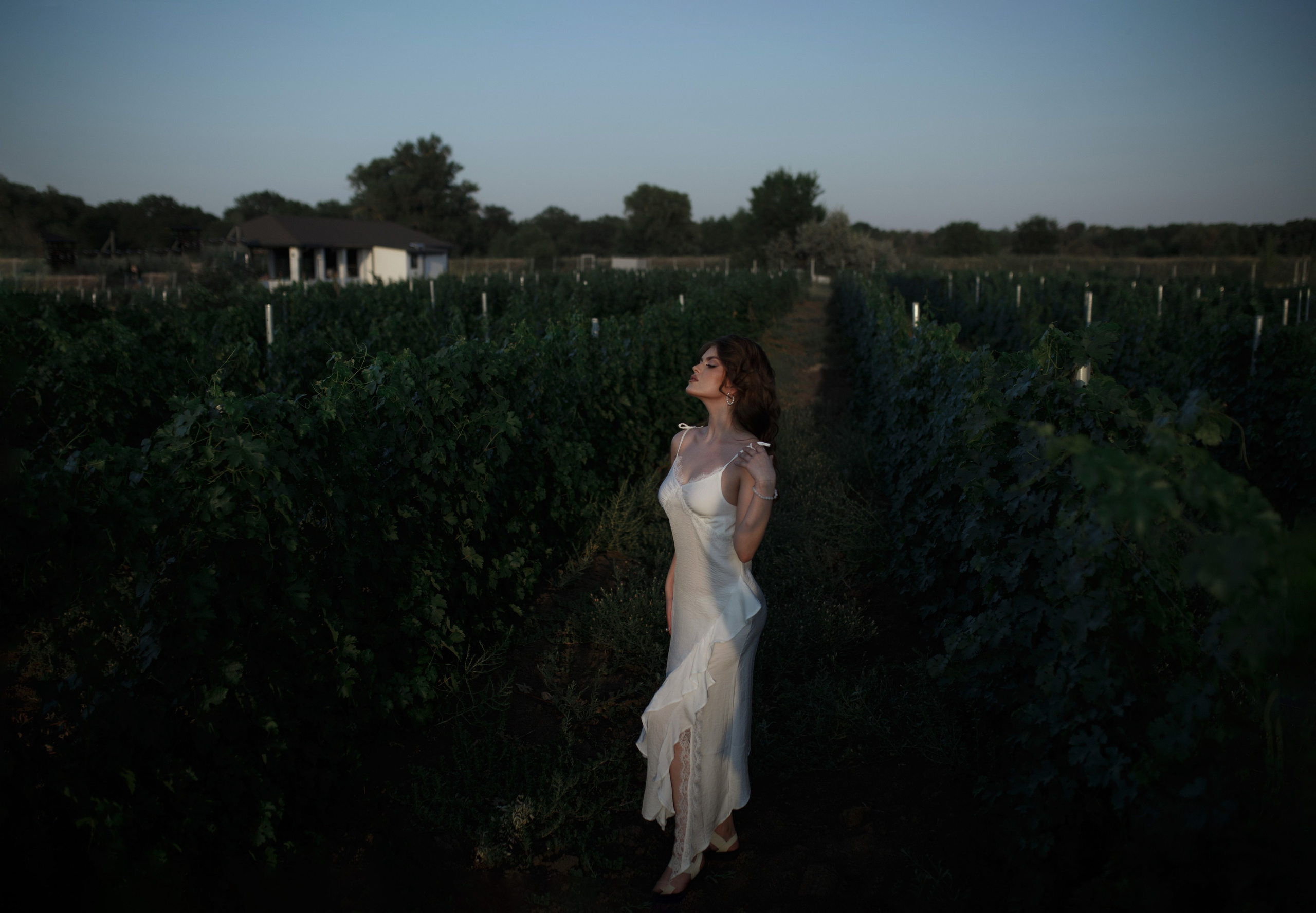 Дарья на винограднике. Свадебный, предметный и портретный фотограф в Волгограде