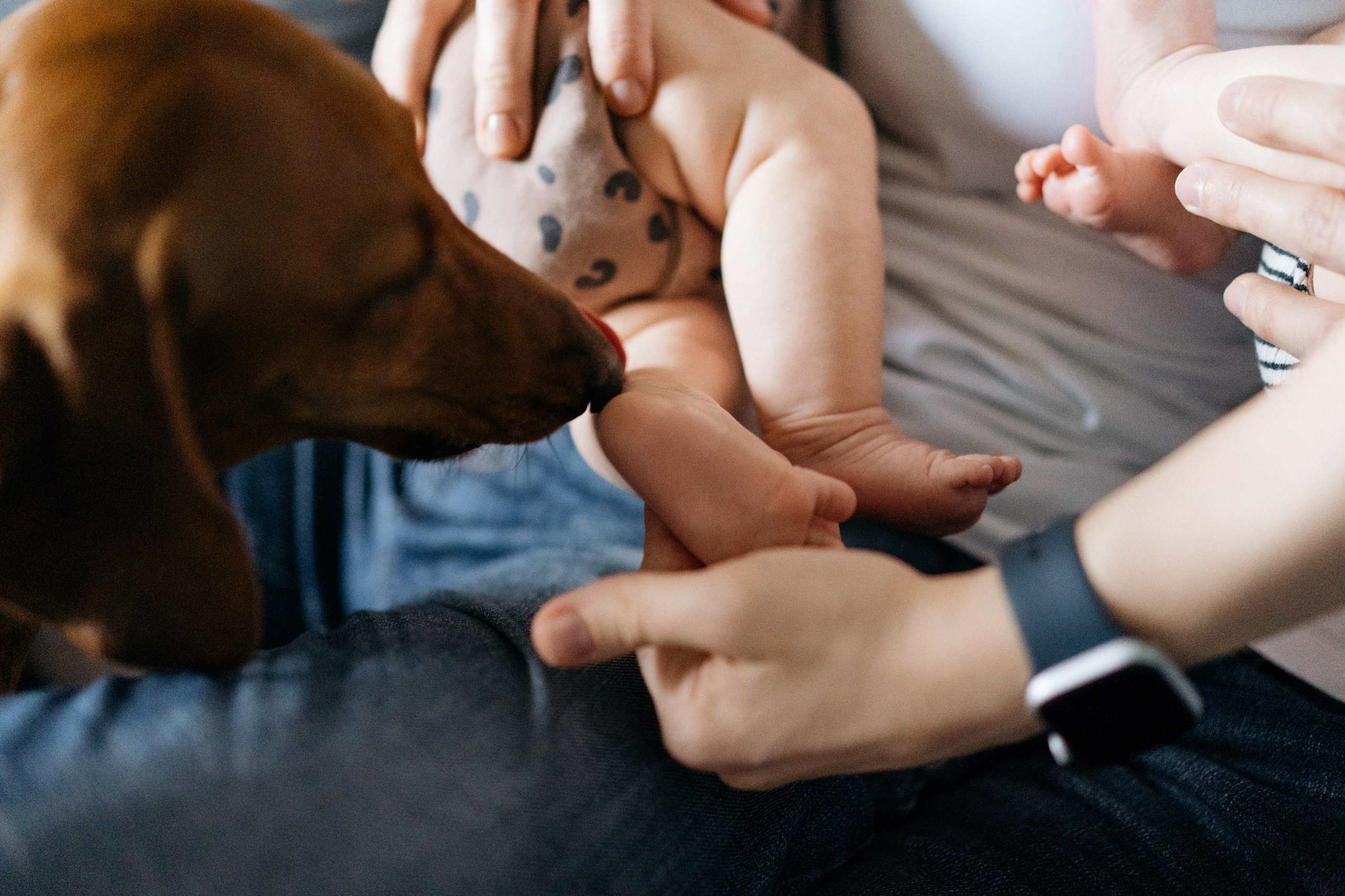 Двойняшки. Свадебный и семейный фотограф в Калининграде Анастасия Гриценко