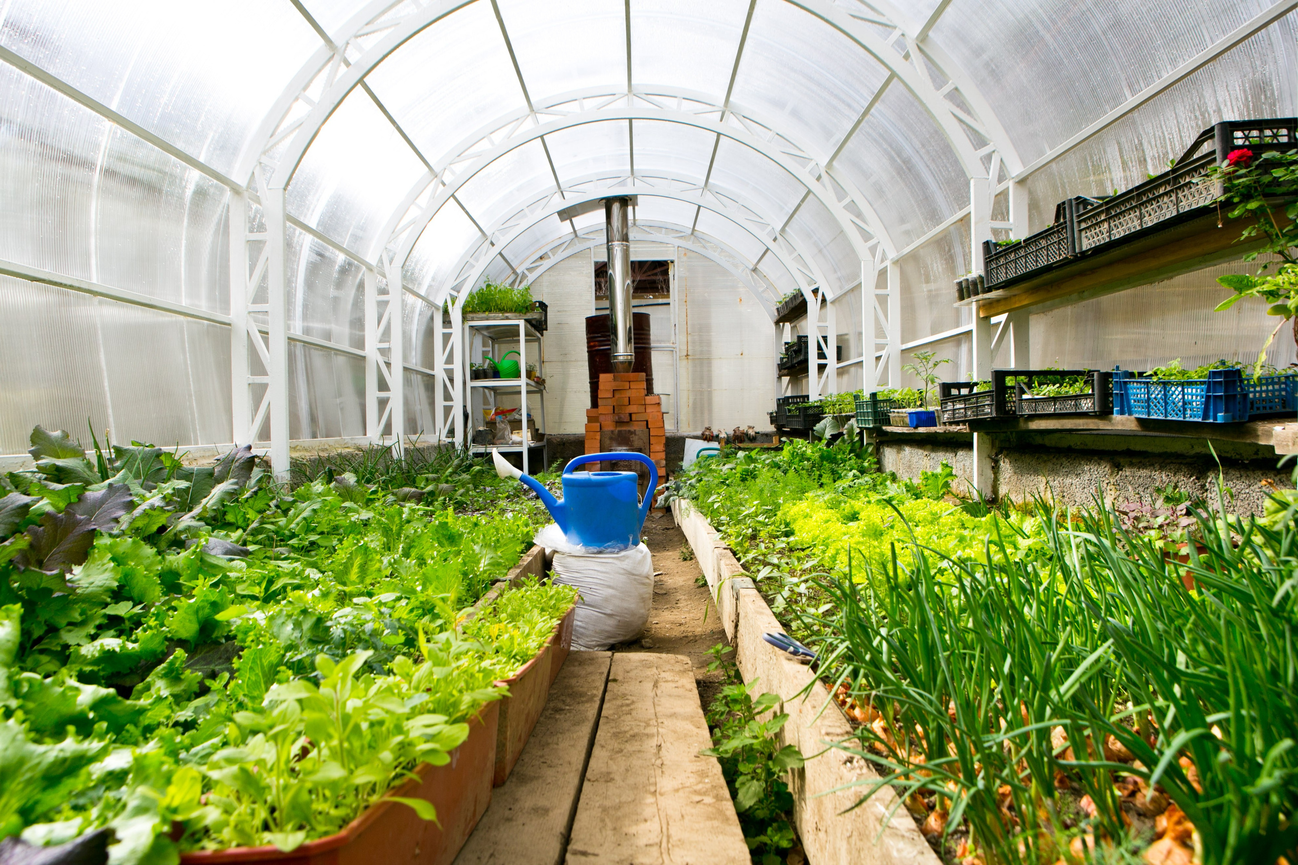 Деревенская еда «Домашние лакомста». Фотограф Красная Поляна — Сочи — Москва