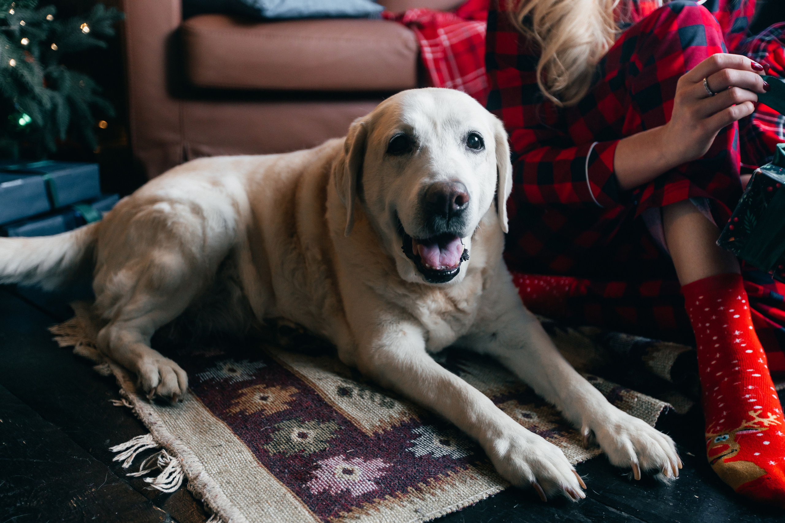 Новогодние фотопроекты. Свадебный и семейный фотограф в Нижнем Новгороде и Москве Сергей Полян