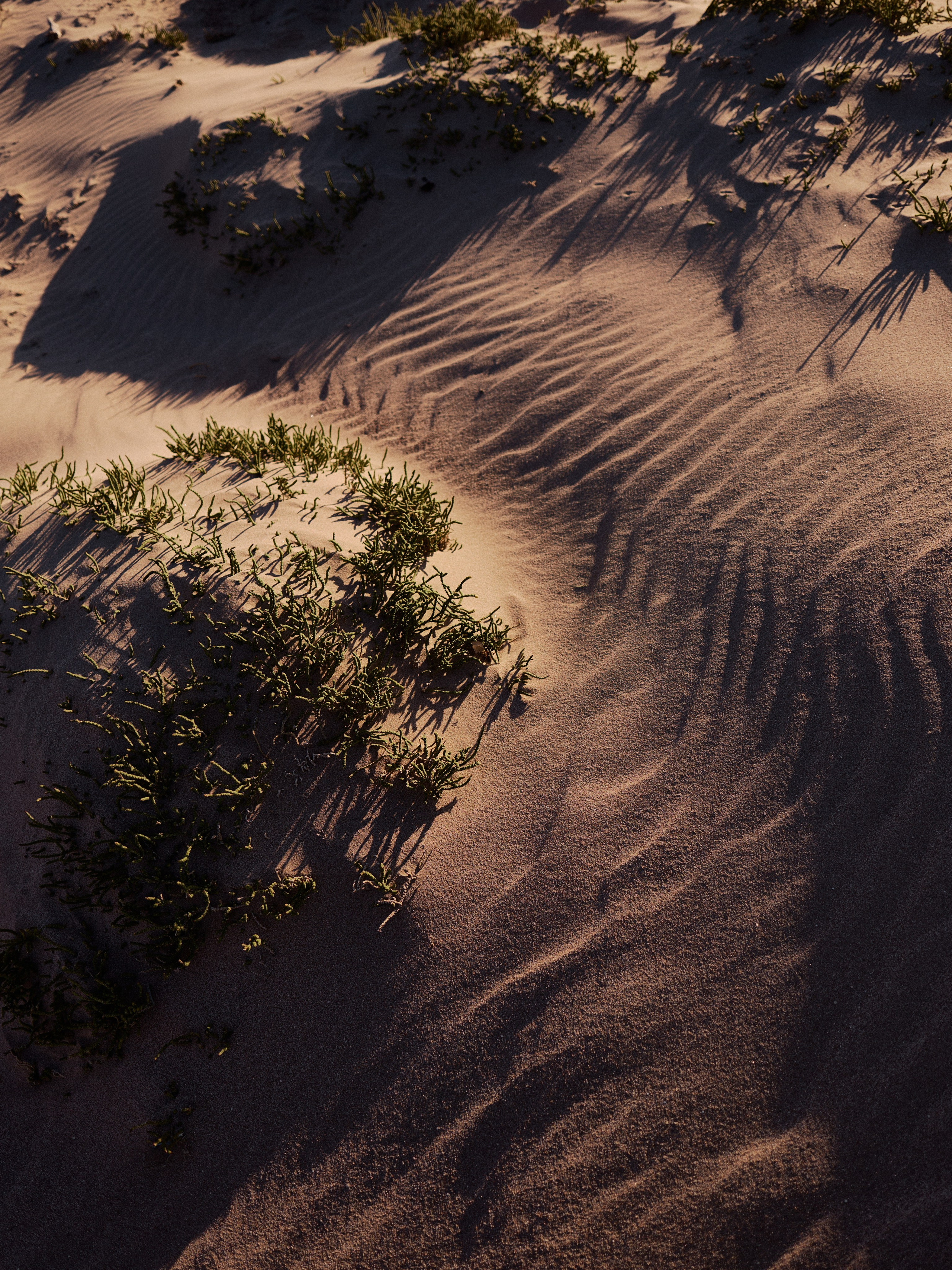 Другое 4. Jorgis — фотограф в Хургаде / обучение фотографии