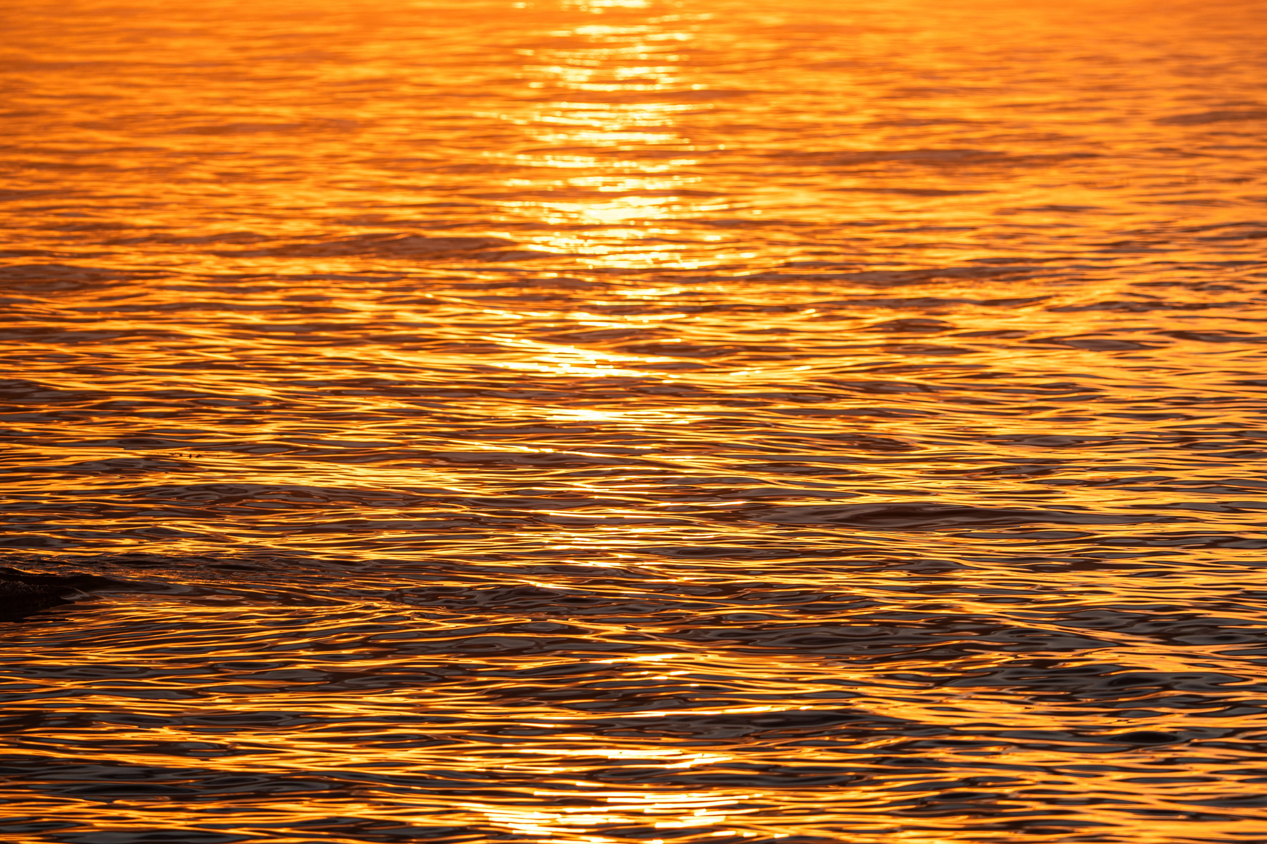 Сахалин 2025. Творческие сьемки