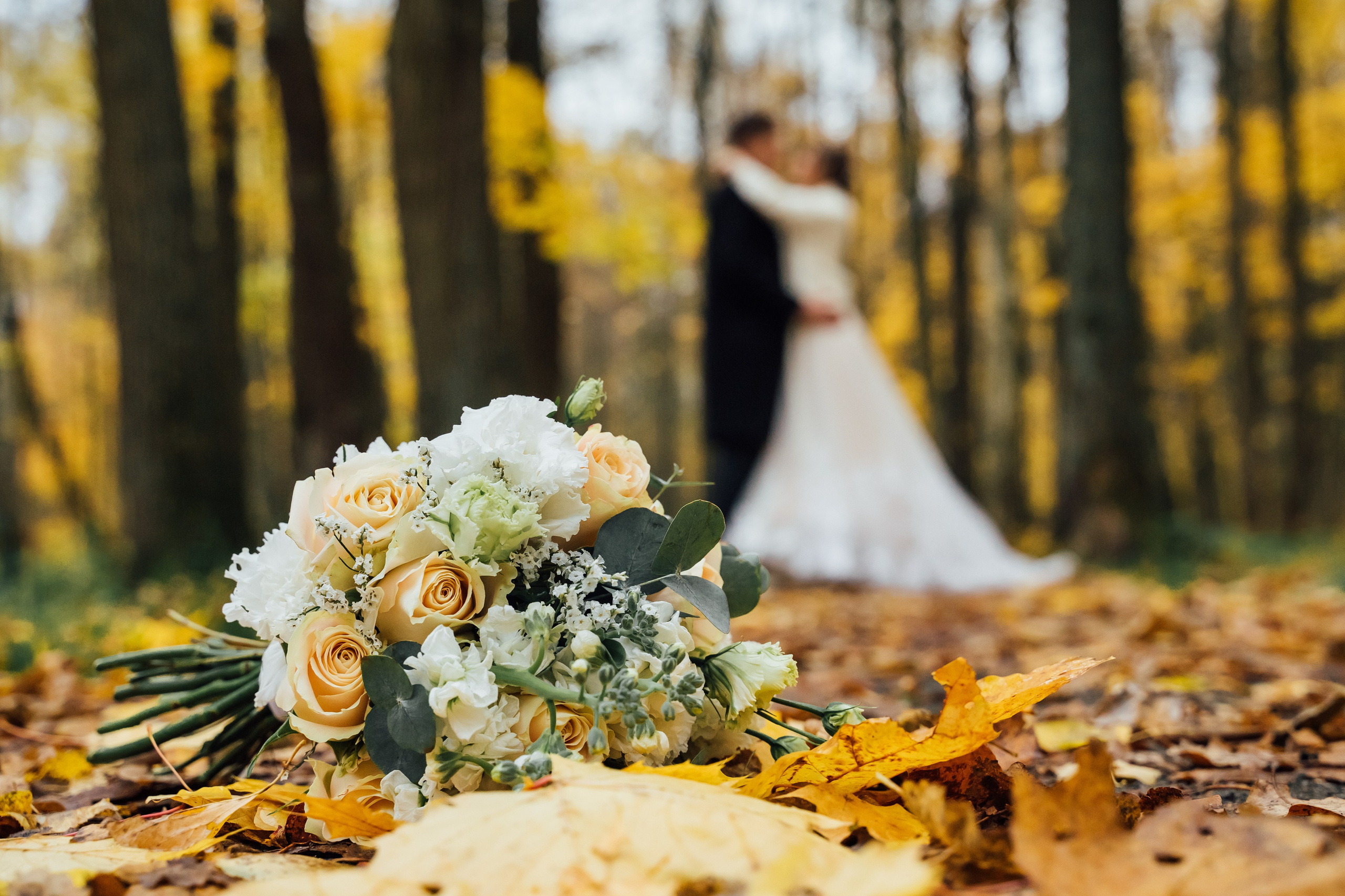 Максим и Анастасия свадебный день. Свадебный фотограф в Коломне, Воскресенске, Егорьевске Владимир Петров