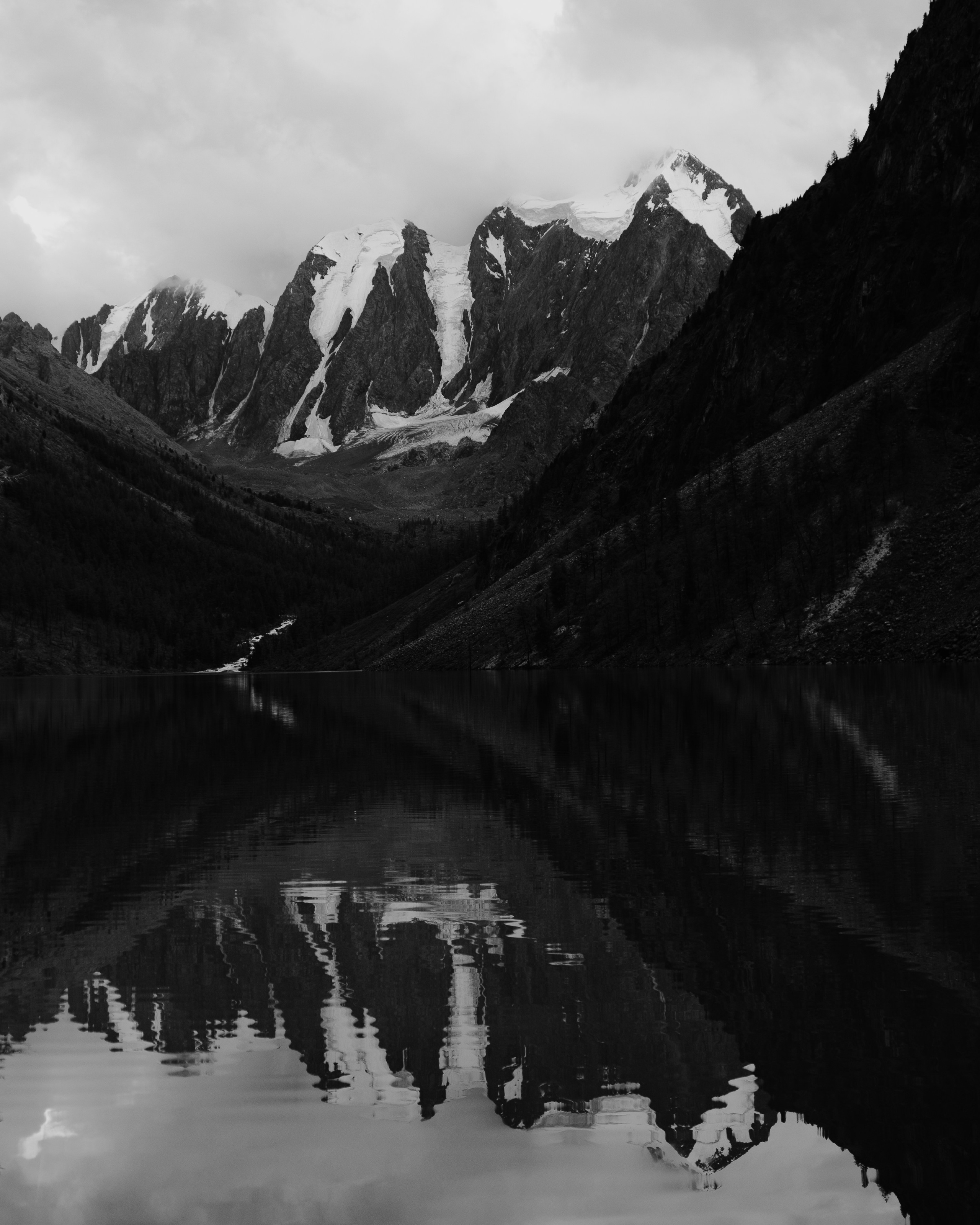 Шавлинские. Главная