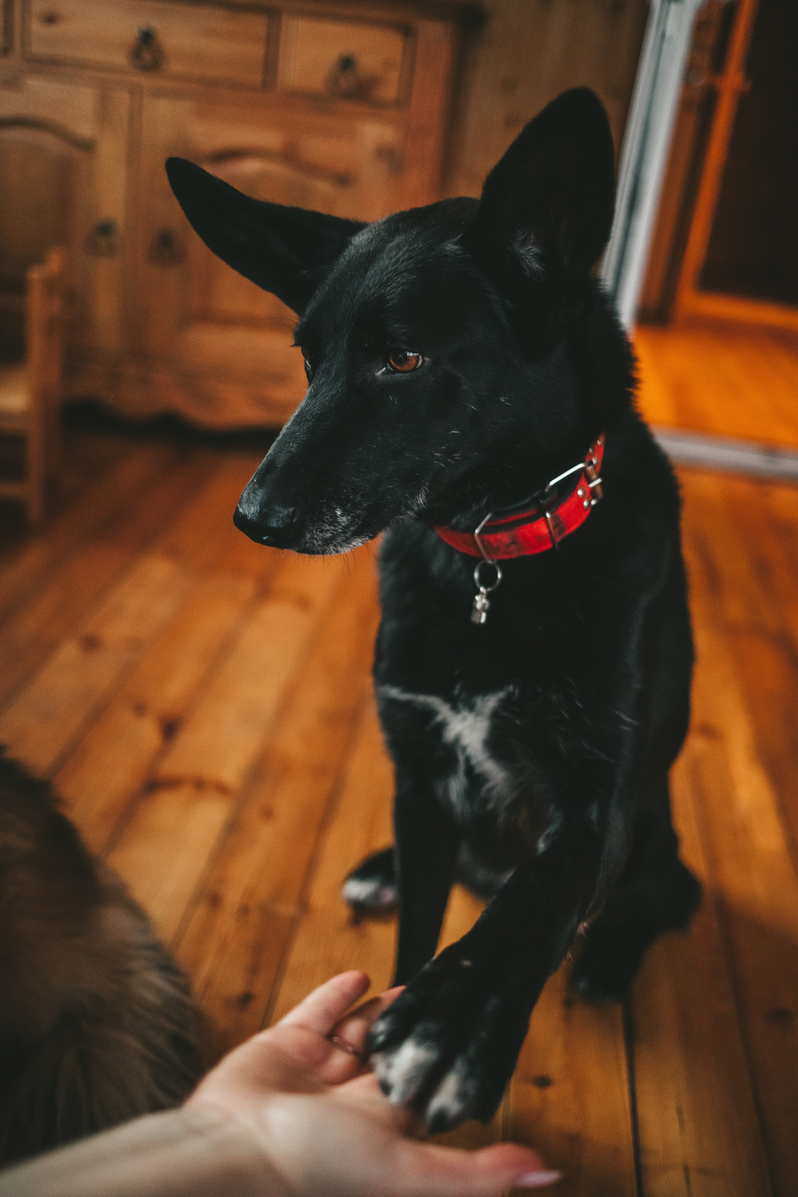 Дима, Аня и Ваня. Семейный lifestyle фотограф в Санкт-Петербурге Людмила Пахомова