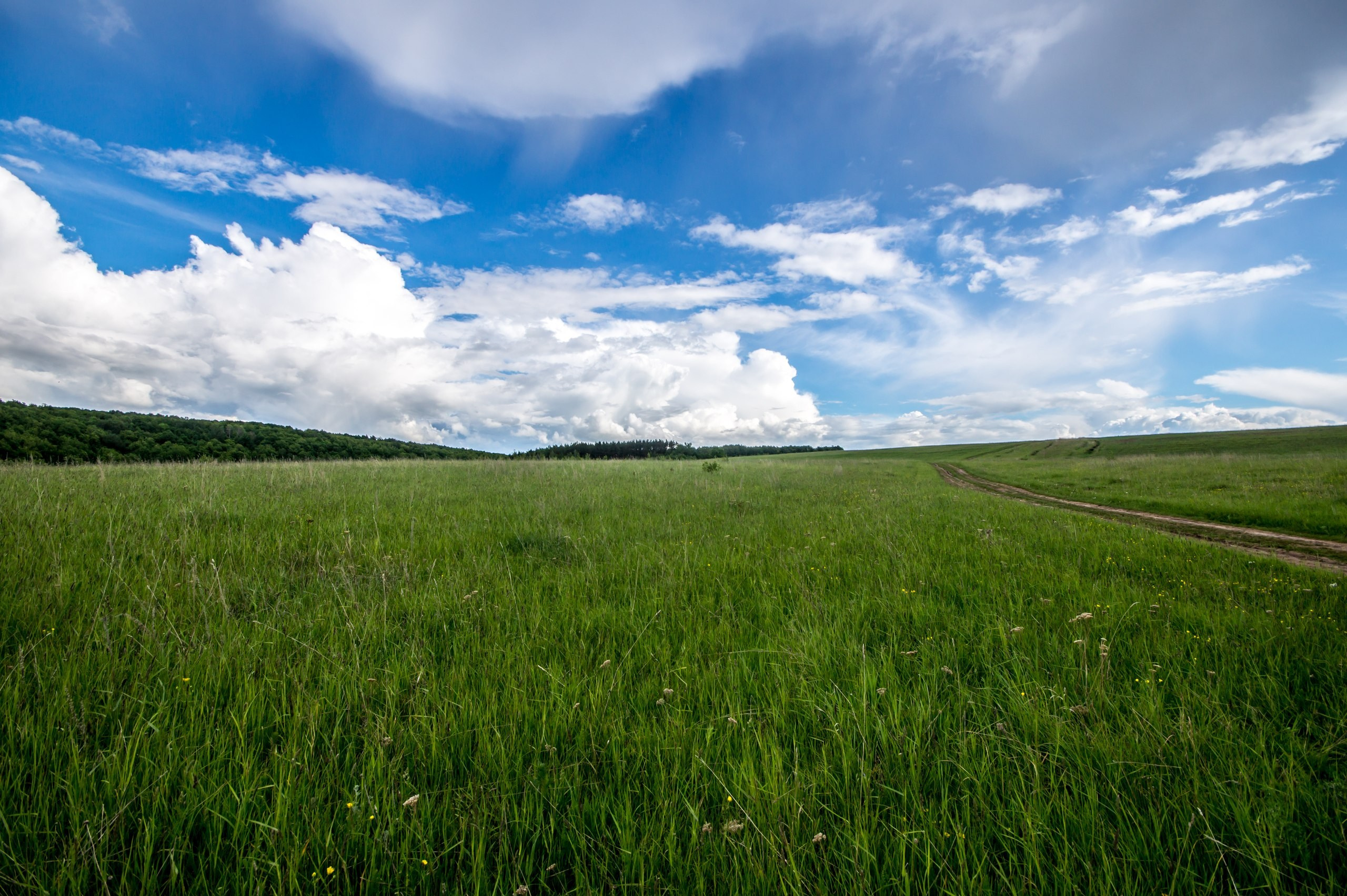 Пейзажная фотосъемка. Владимир Суздалов (ProMaXe) — Портретный фотограф, тематические фотосессии в Чебоксарах