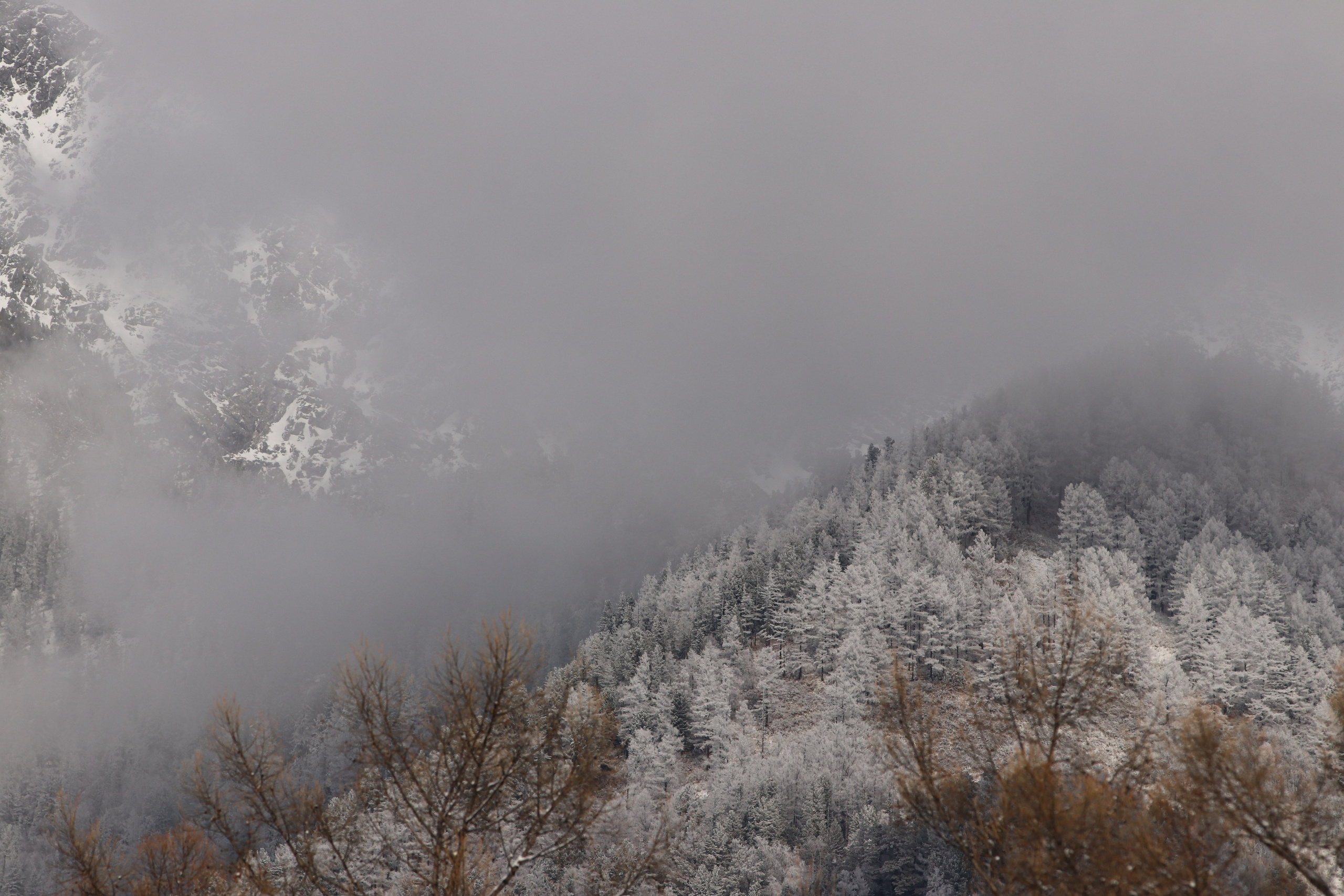 Аршан. Март 2023. Путешественник-фотограф из Санкт-Петербурга Татьяна Свистулина