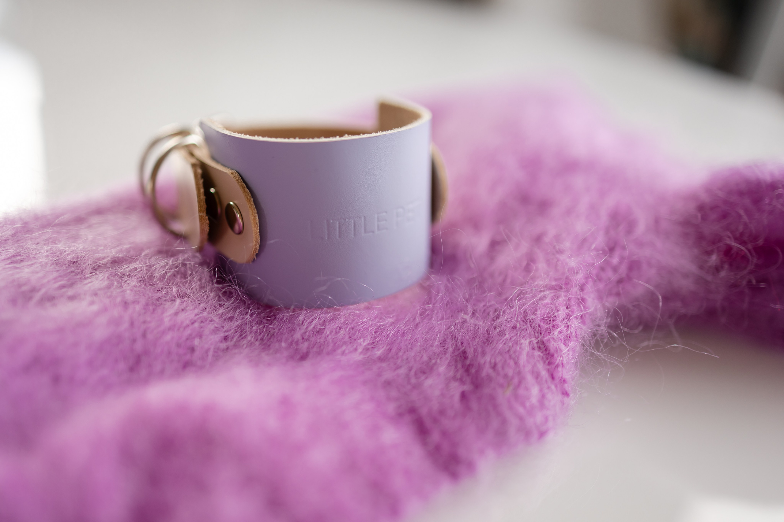 Прогулки. Профессиональный питомник левреток РКФ/FCI ASTI SAPPHIRE 💎 Сочи|Санкт-Петербург