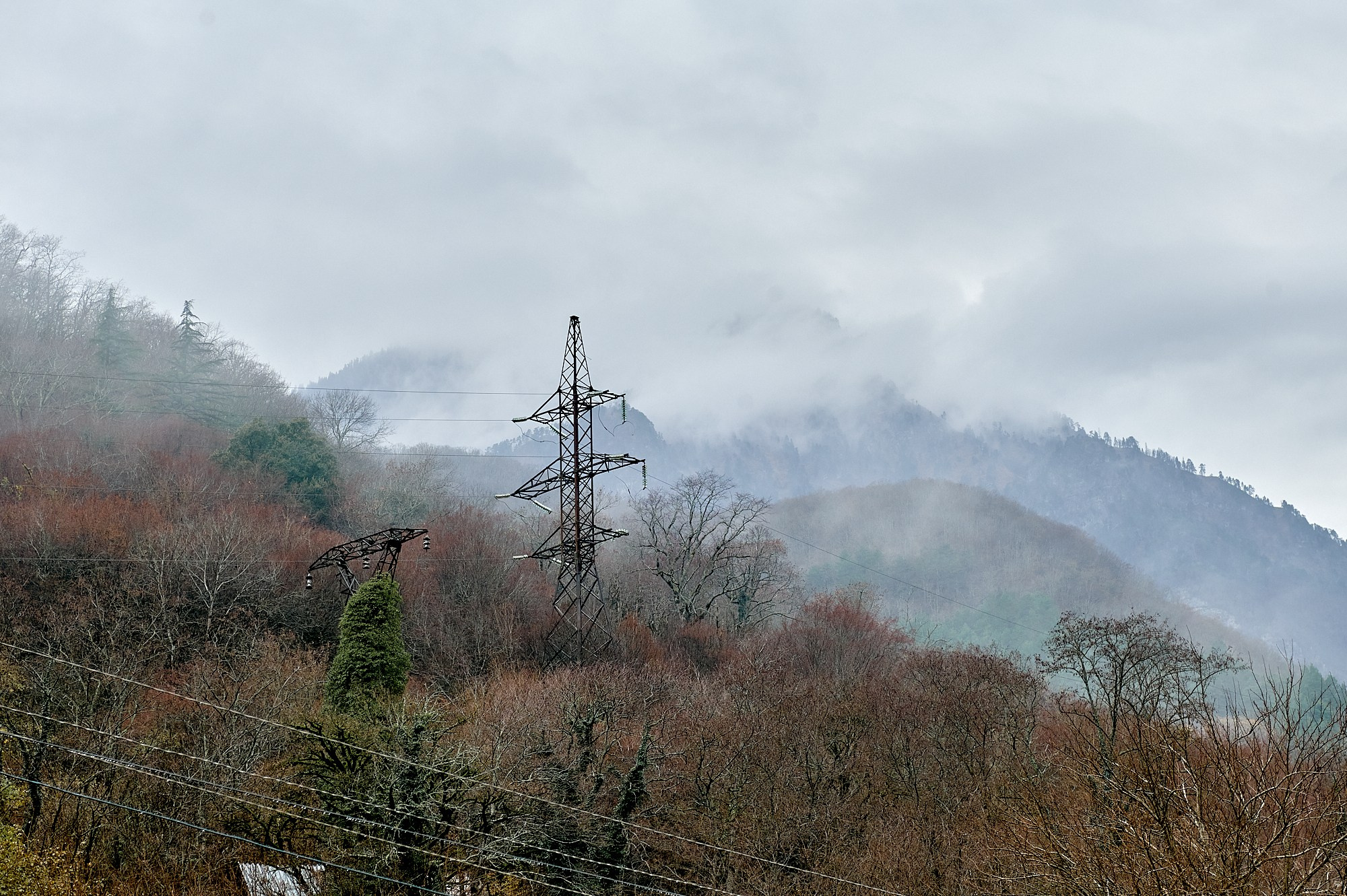Озеро Рица, Абхазия. Декабрь 2024. Фотографии отовсюду и обо всем