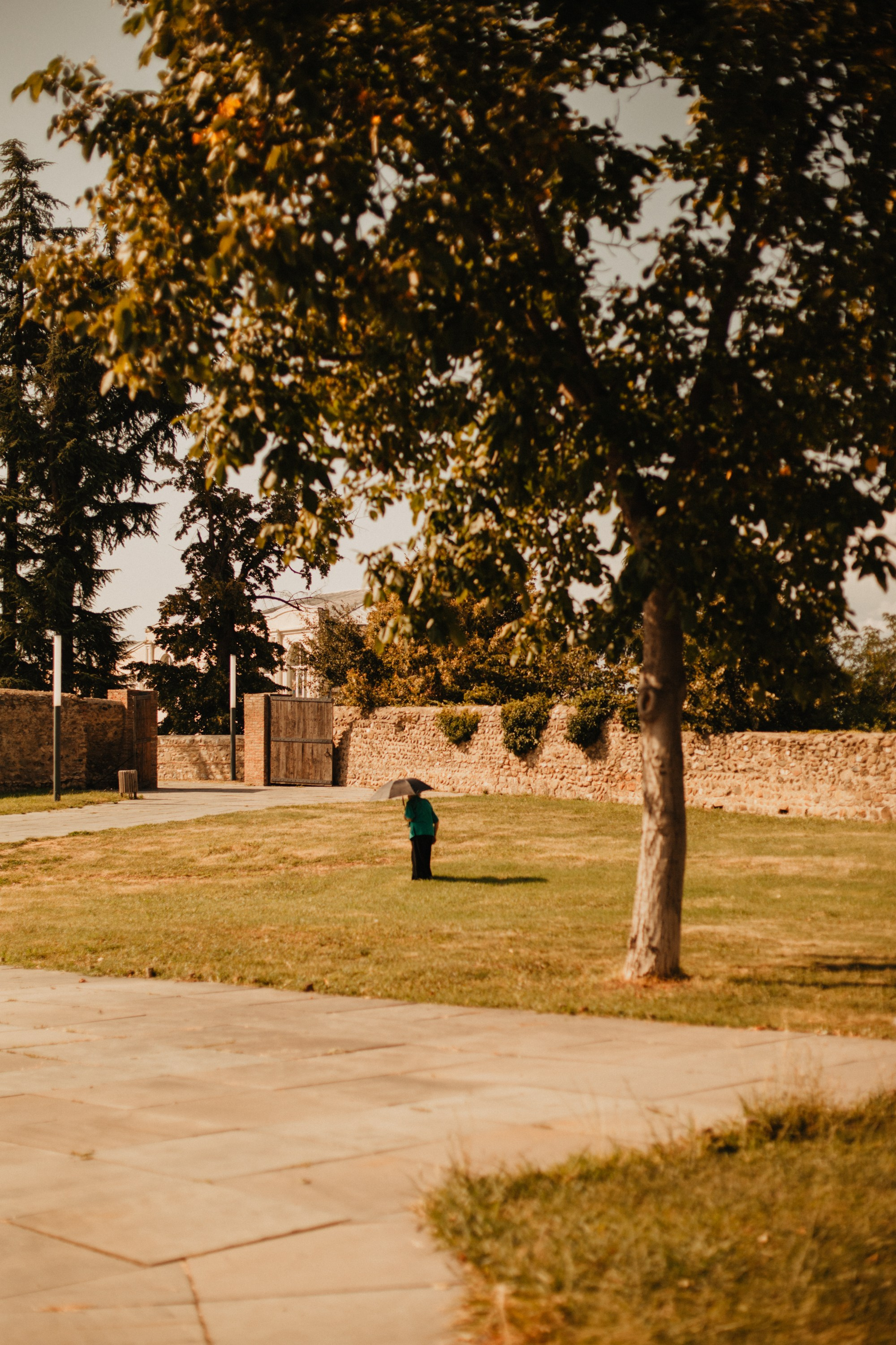 Грузинские каникулы. Violetta Skripka