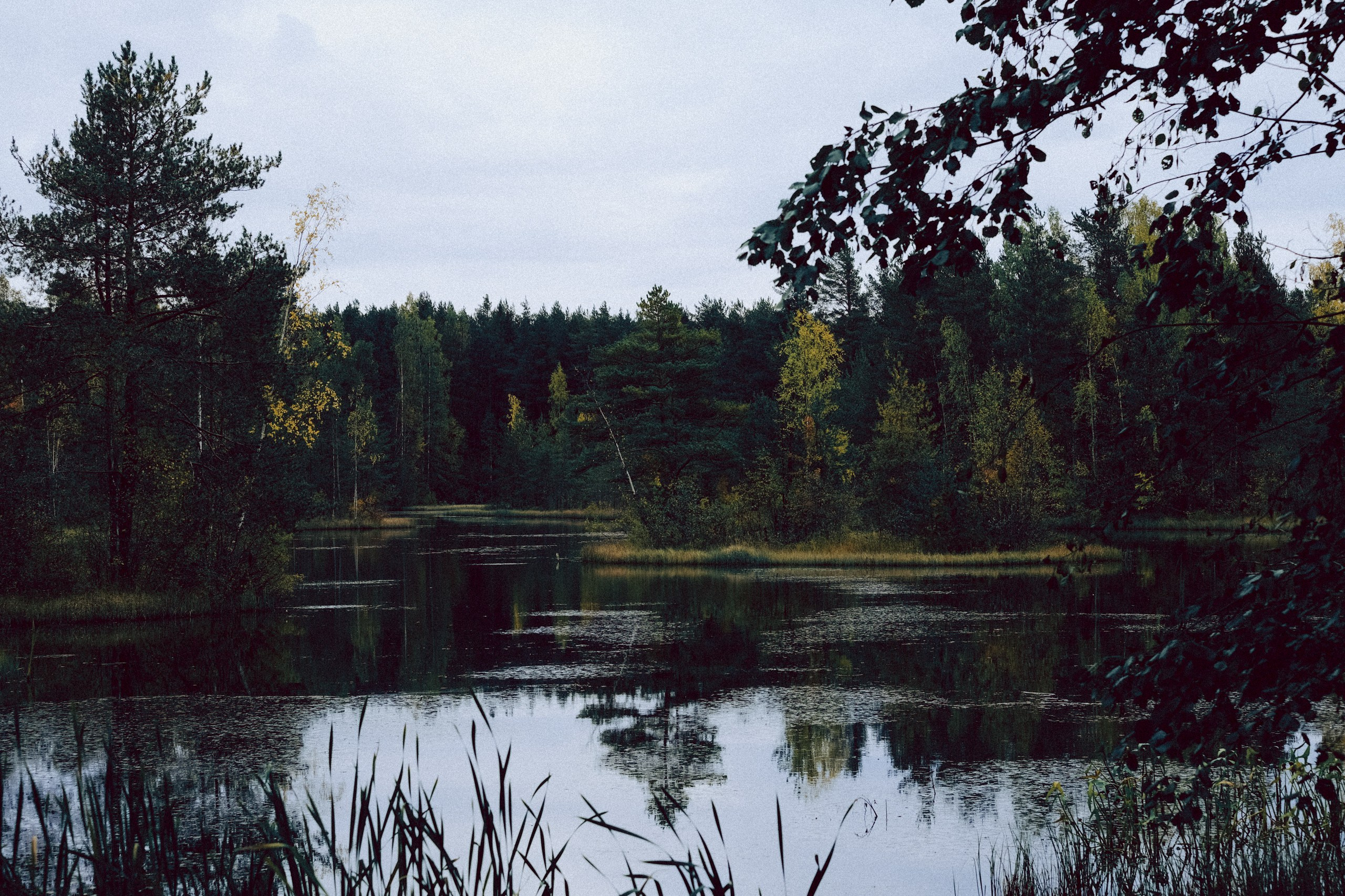 Осеняя прогулка. Профессиональный фотограф, Санкт-Петербург — Виктория Богомолова