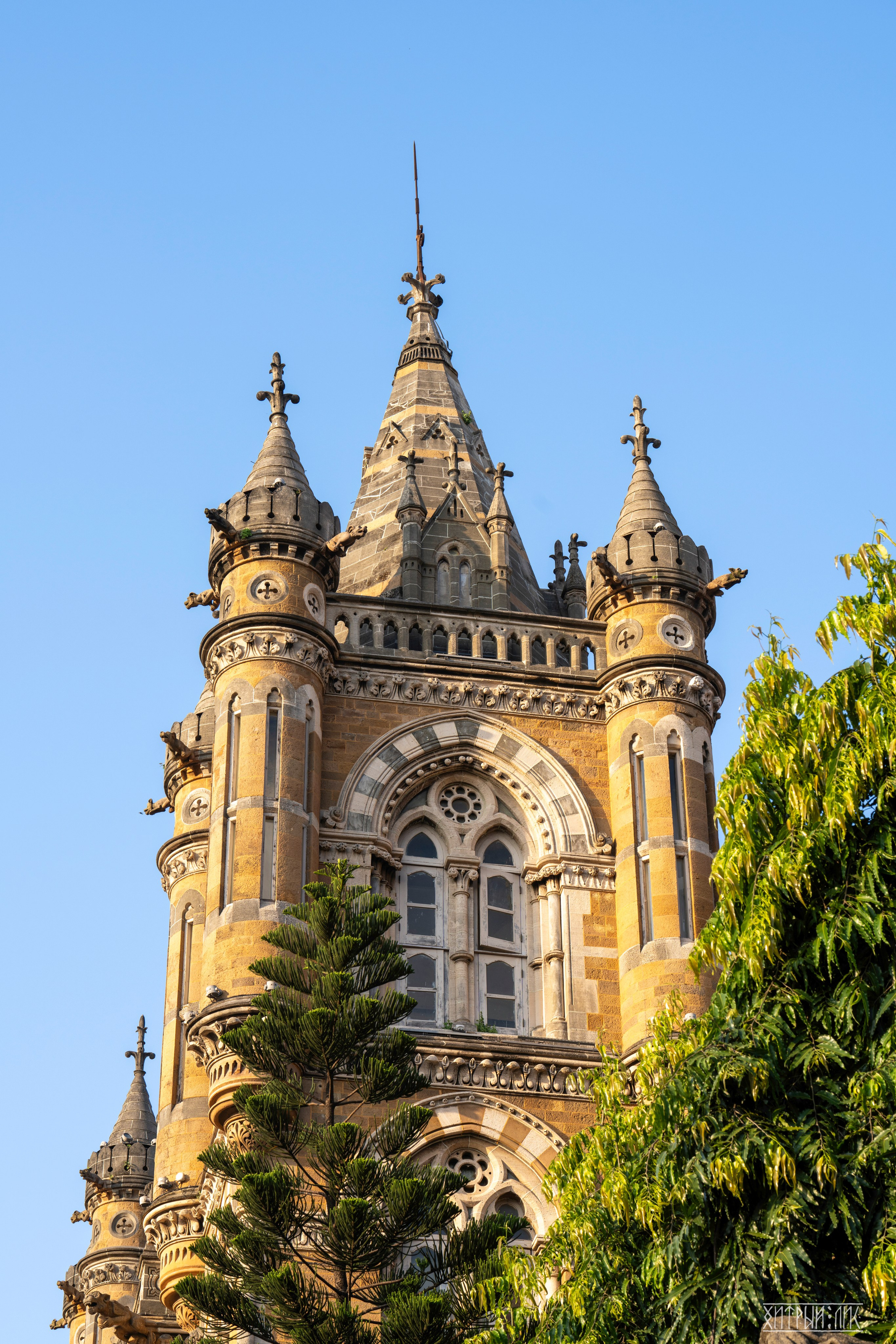 Гоа-Мумбаи. Фотограф-путешественник Самойлов Максим «Sly Fox»