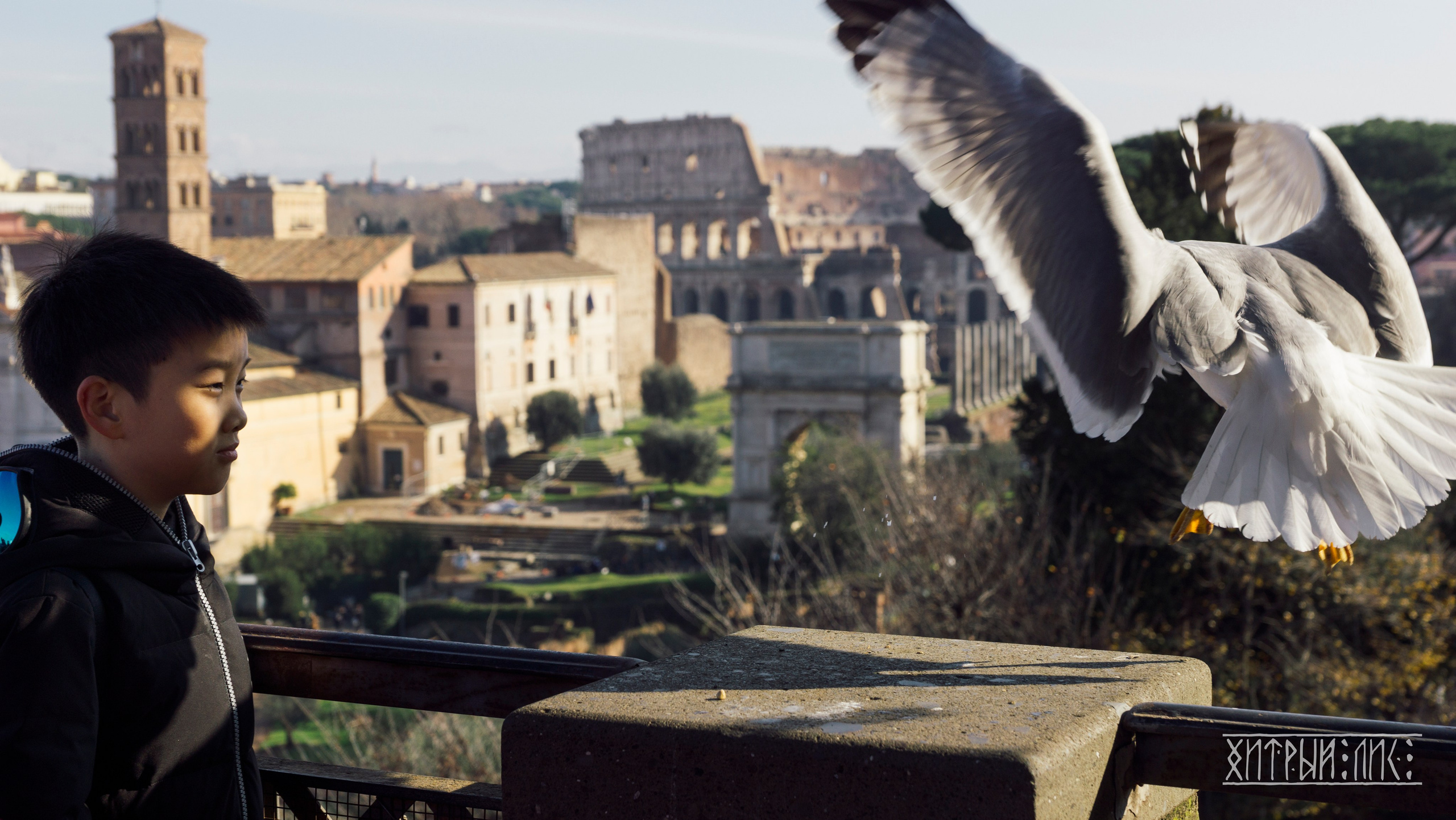 Рим. Фотограф-путешественник Самойлов Максим «Sly Fox»