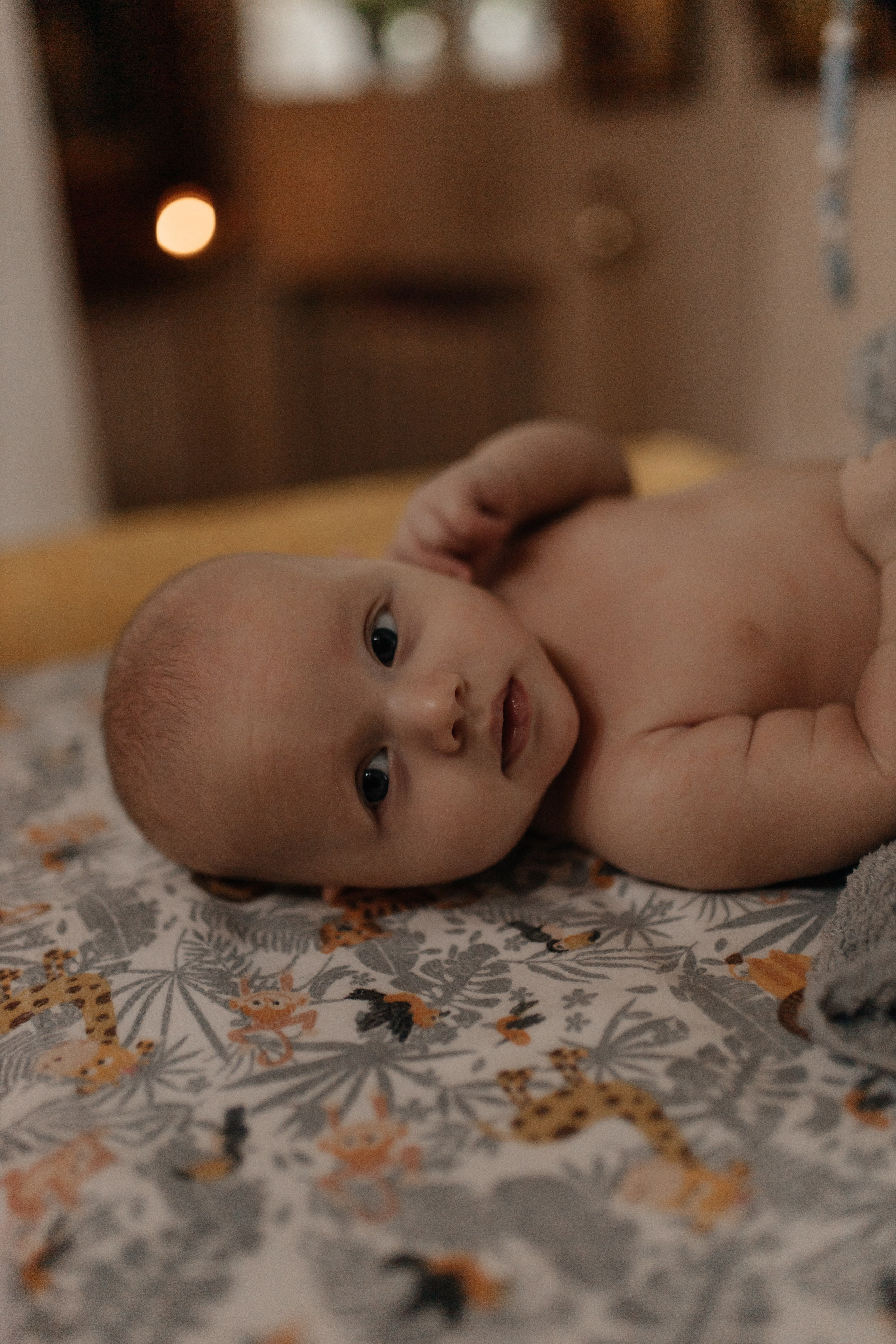 Тимофей. Семейный фотограф Губкин/Старый Оскол