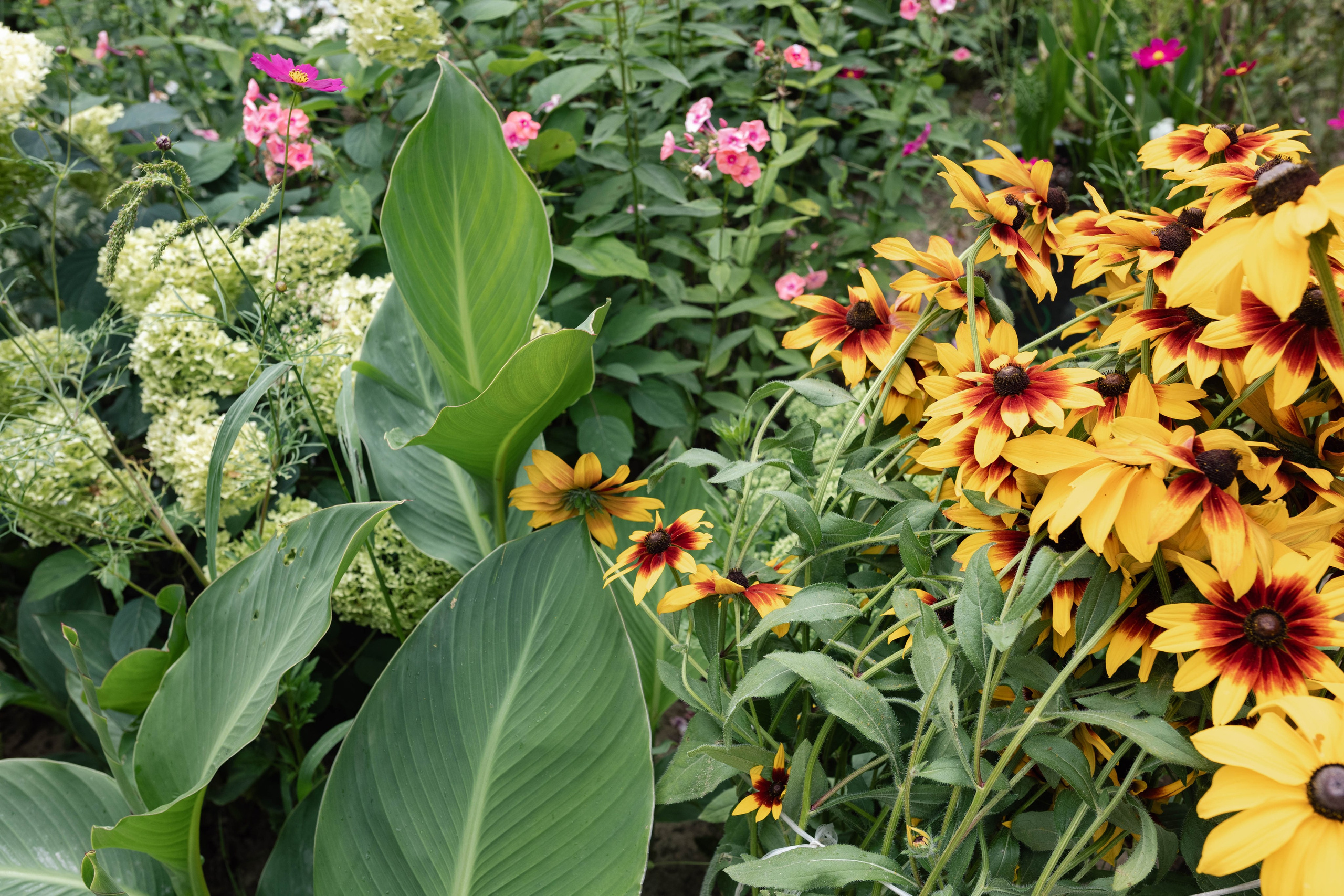 Марат & Анна