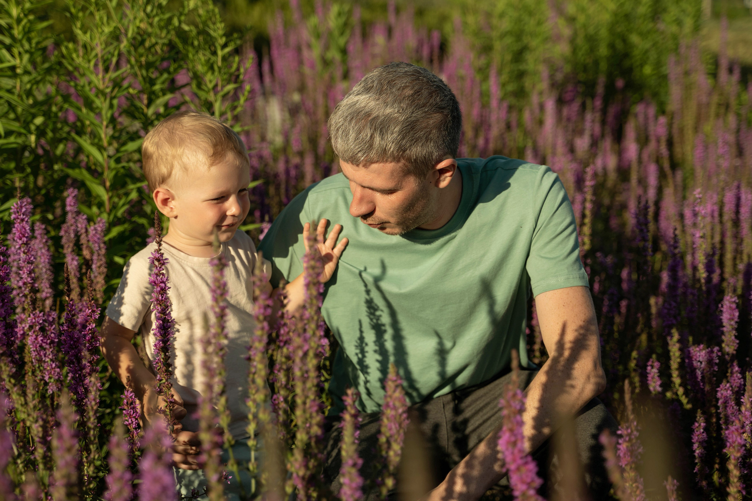 Семейная прогулка. Главная