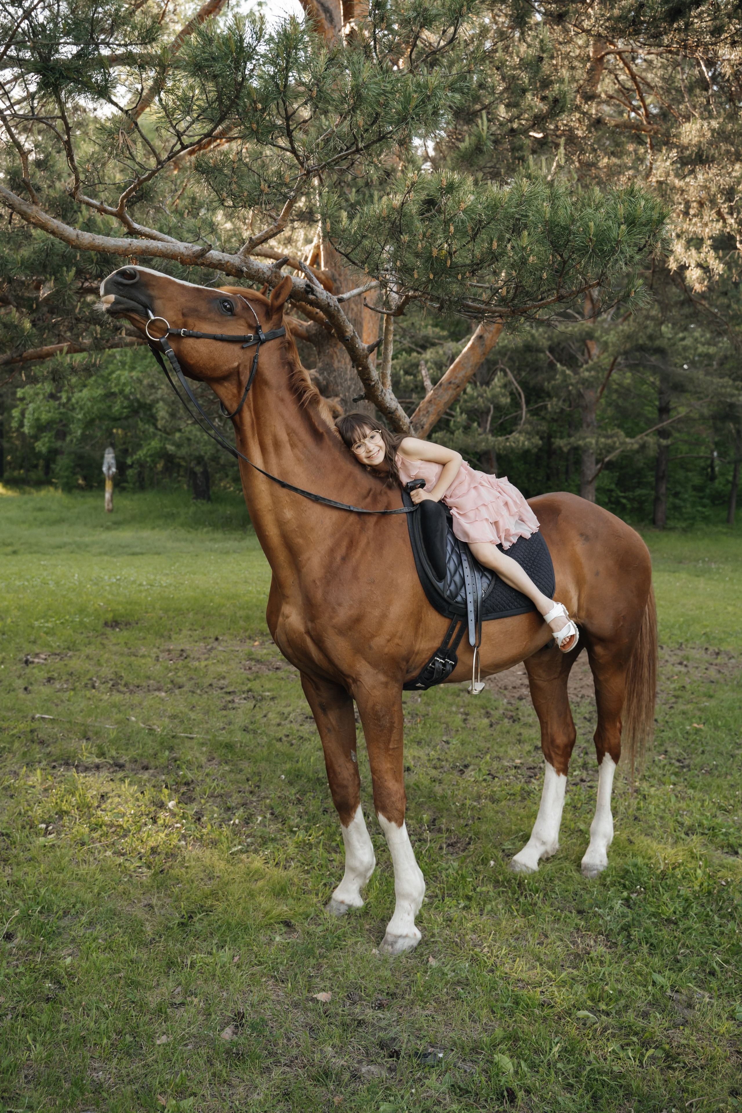 Семейная история с лошадьми. Главная
