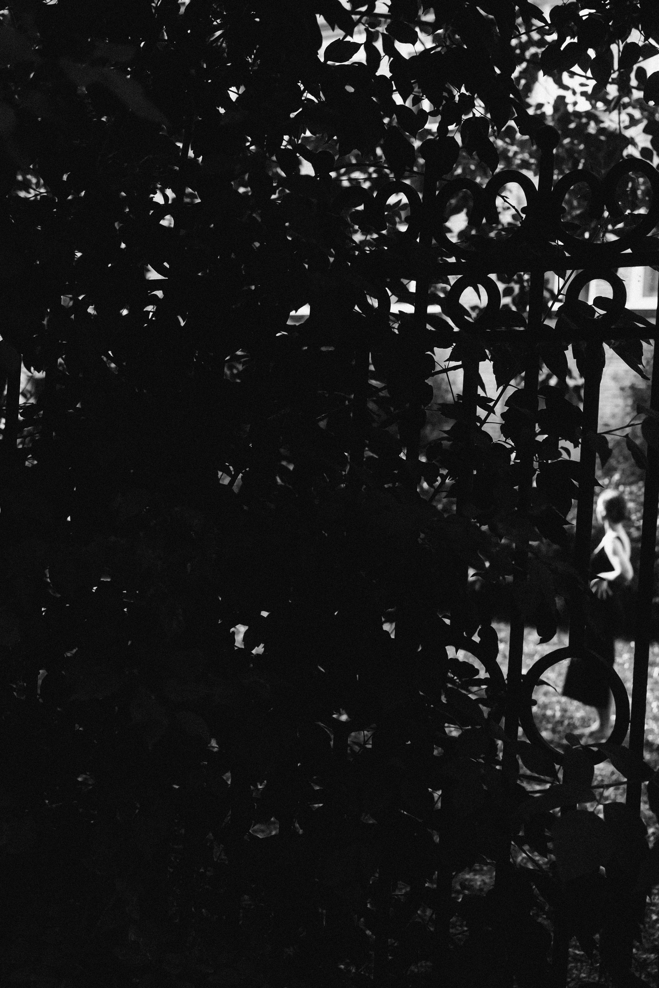 Элина. Veronika Popadeikina Photographer