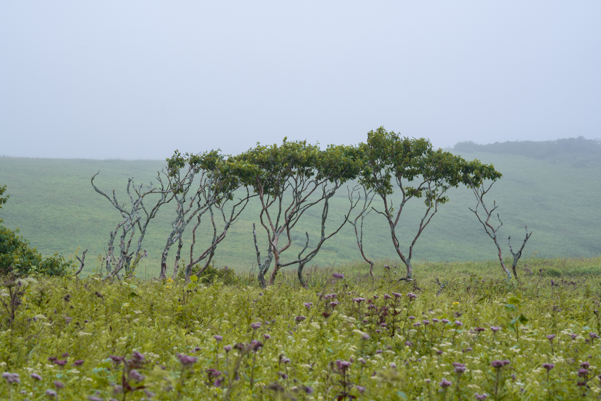 Курильские острова. Gusarov Travel Photography