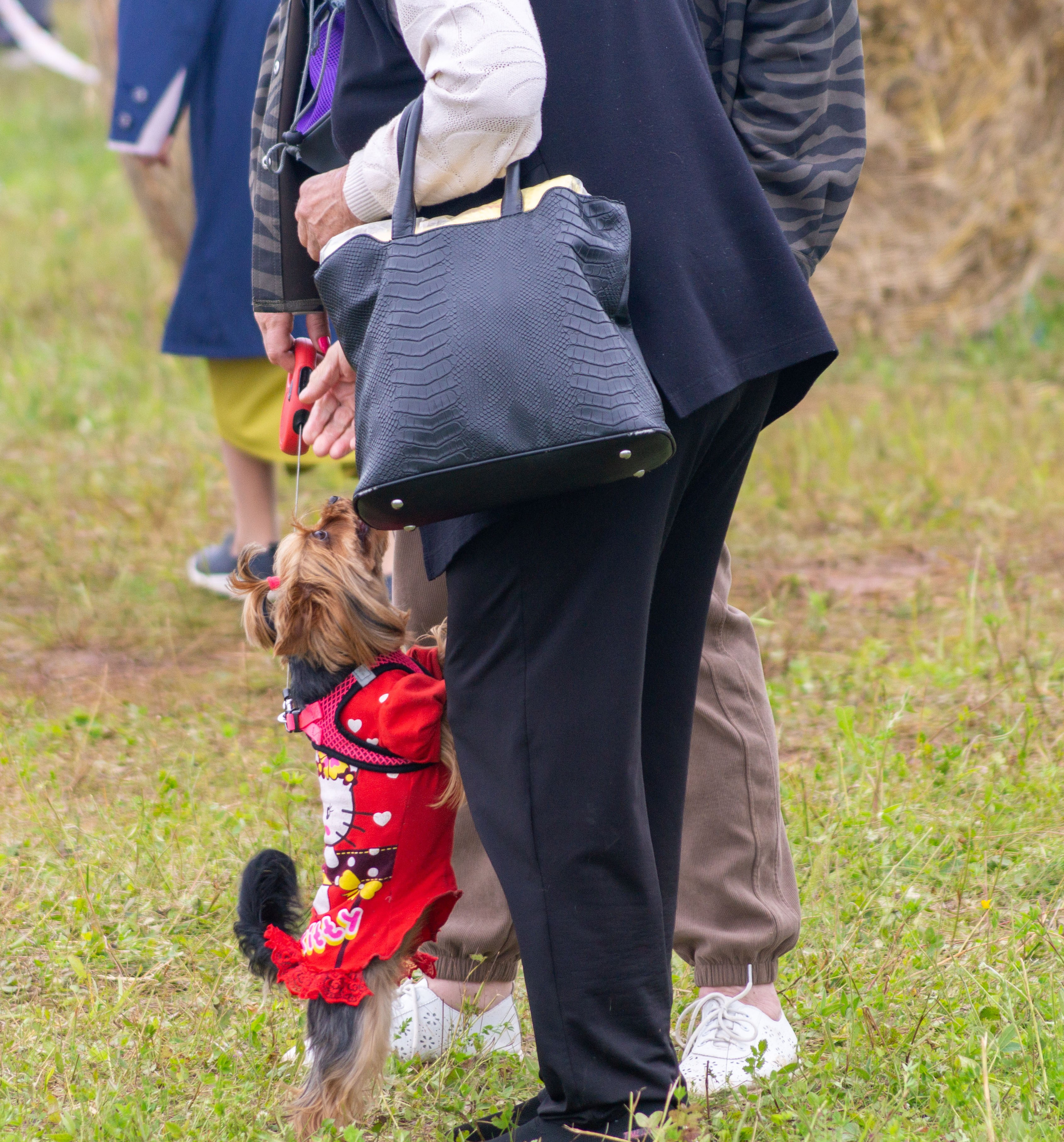 Всероссийский собантуй 2025. Портретный и семейный фотограф Санкт-Петербург