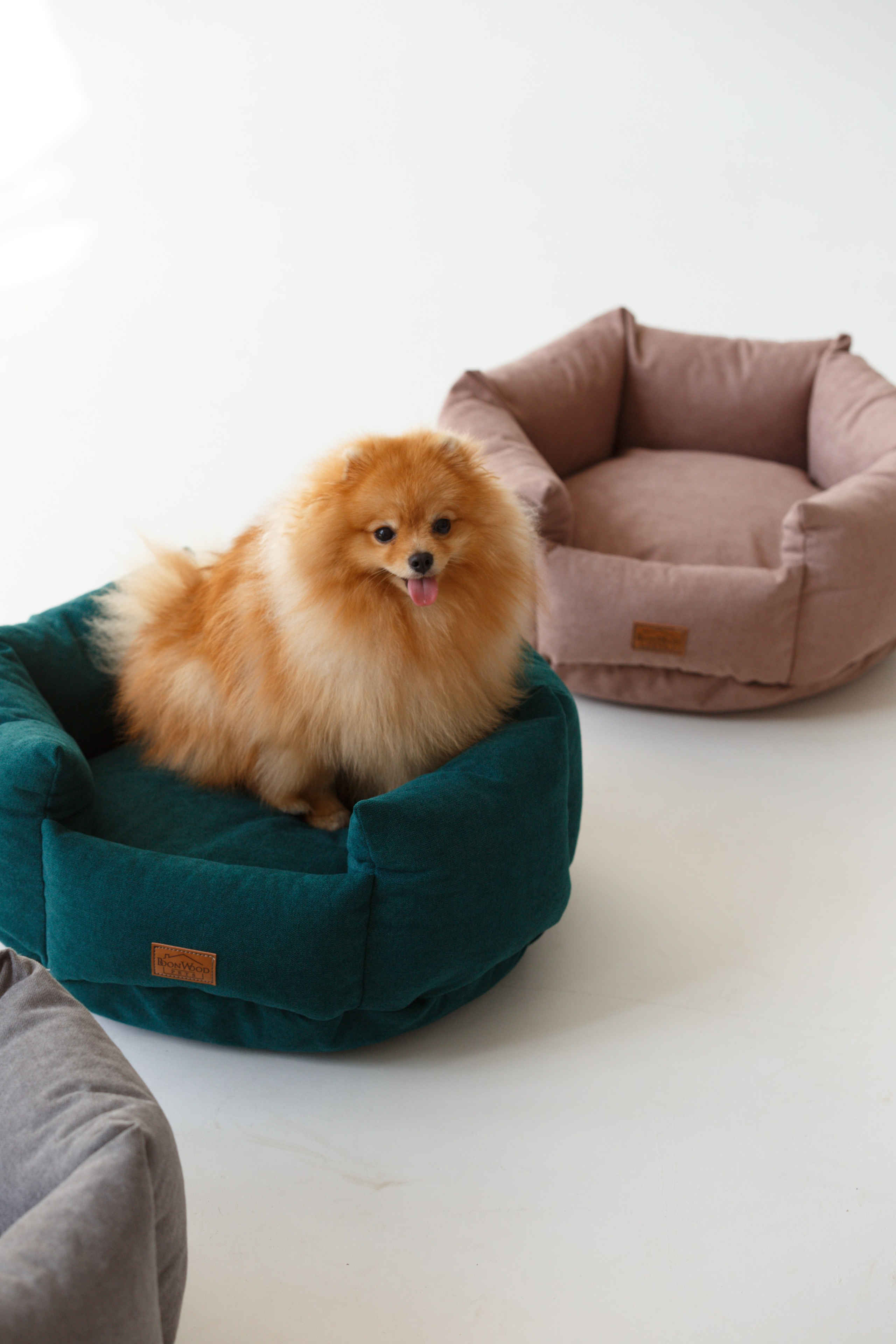 Boonwood Pets лежанки для животных. Фотограф анималист Кристина Карпова, Москва