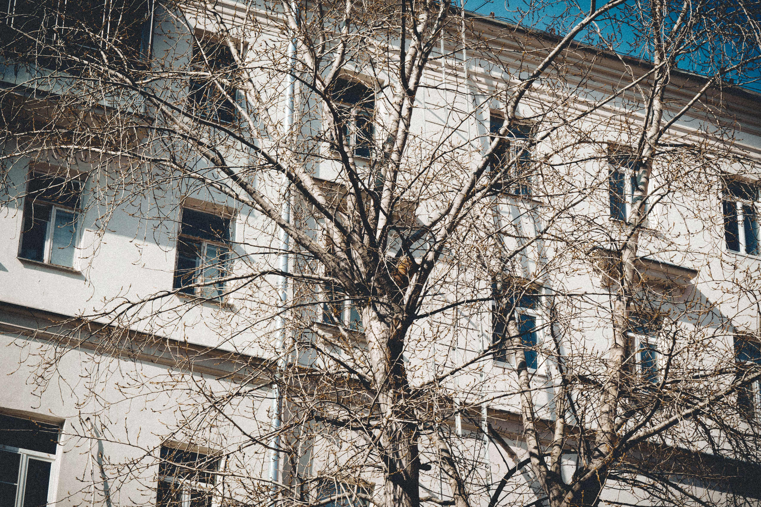 Тихие переулки на Чистых прудах. Polypolarphotography