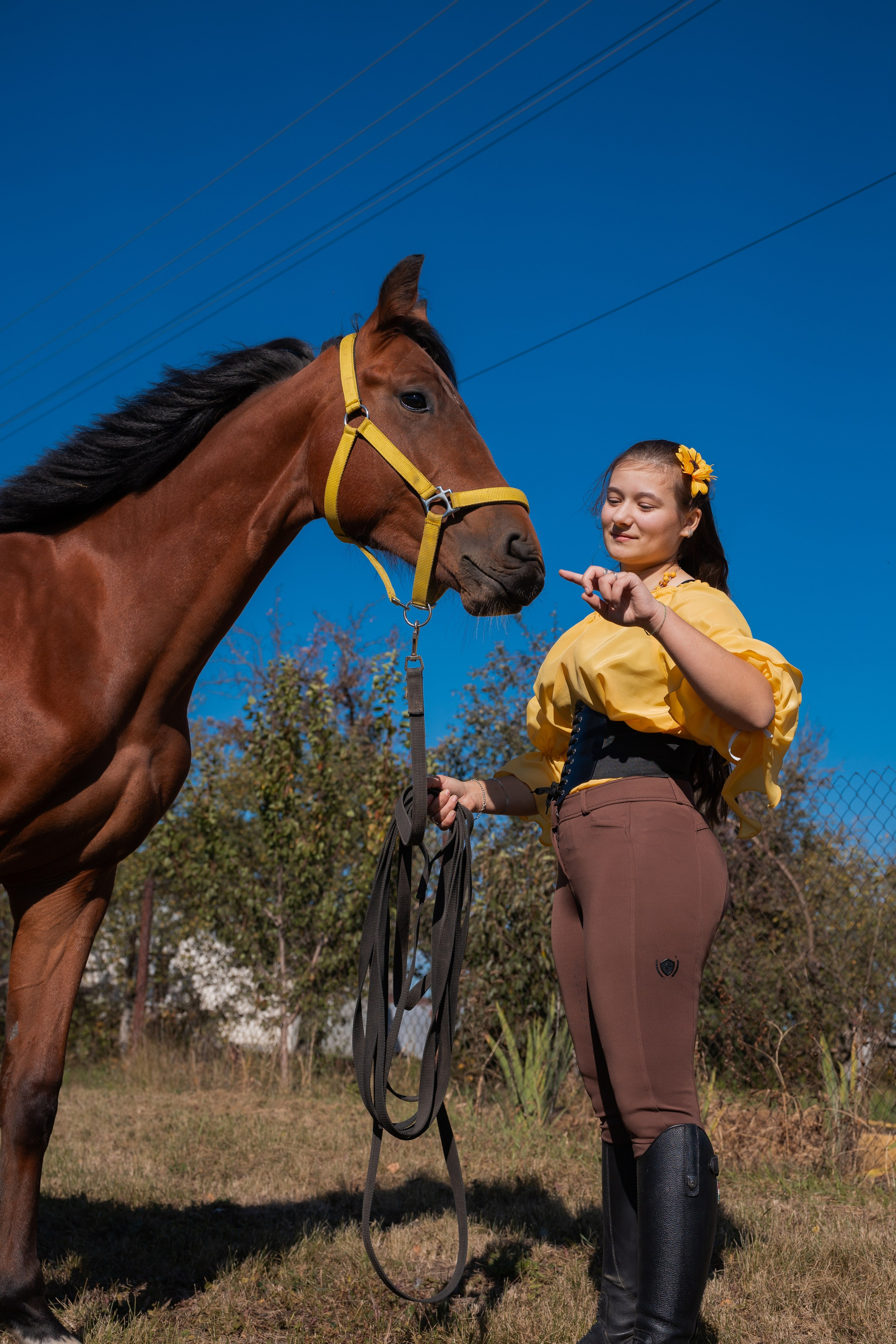 Фотосессия с лошадьми