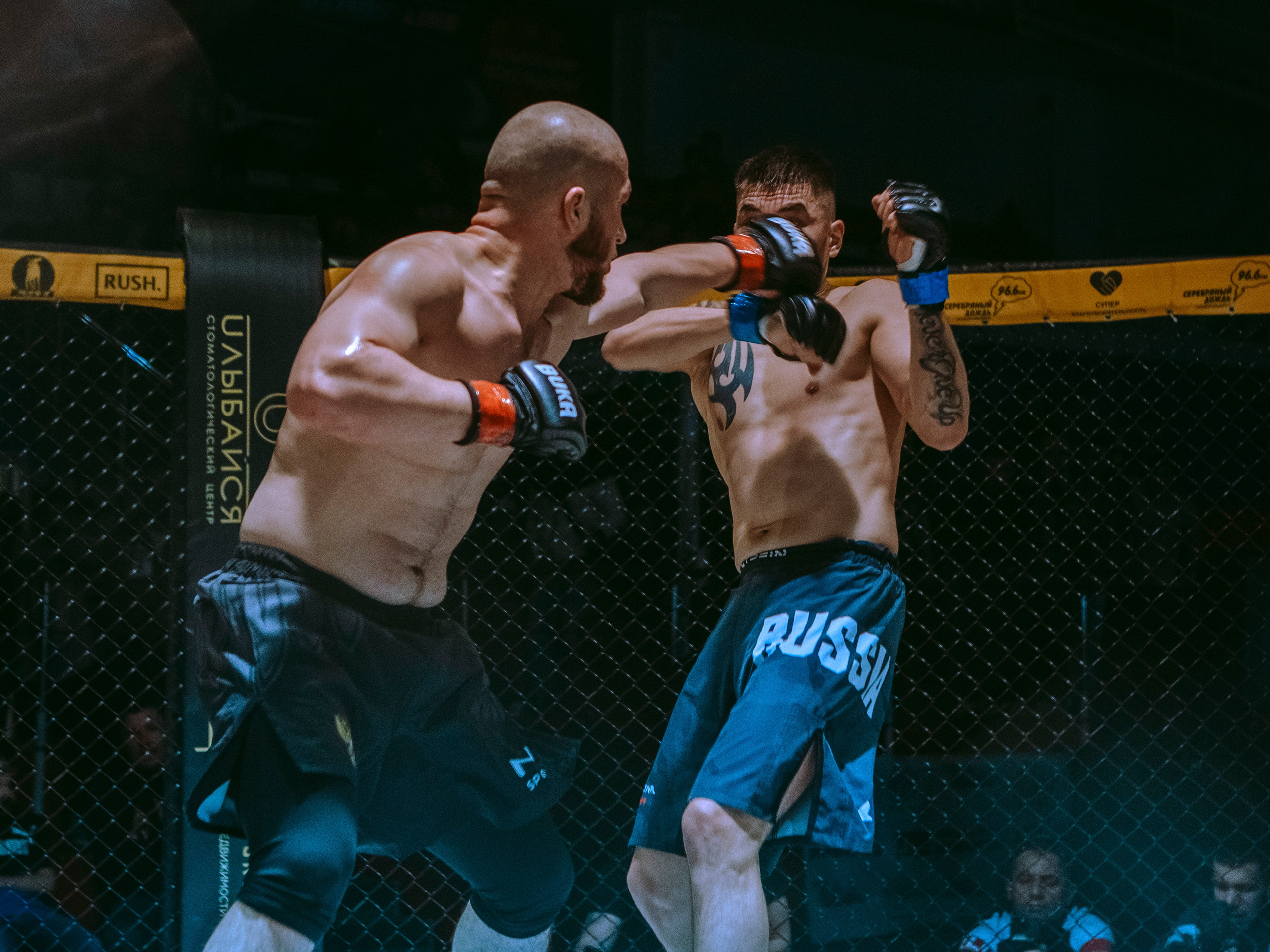 SFL 17 | Siberian Fighting League. Портретный фотограф в Москве Дарья Цезария