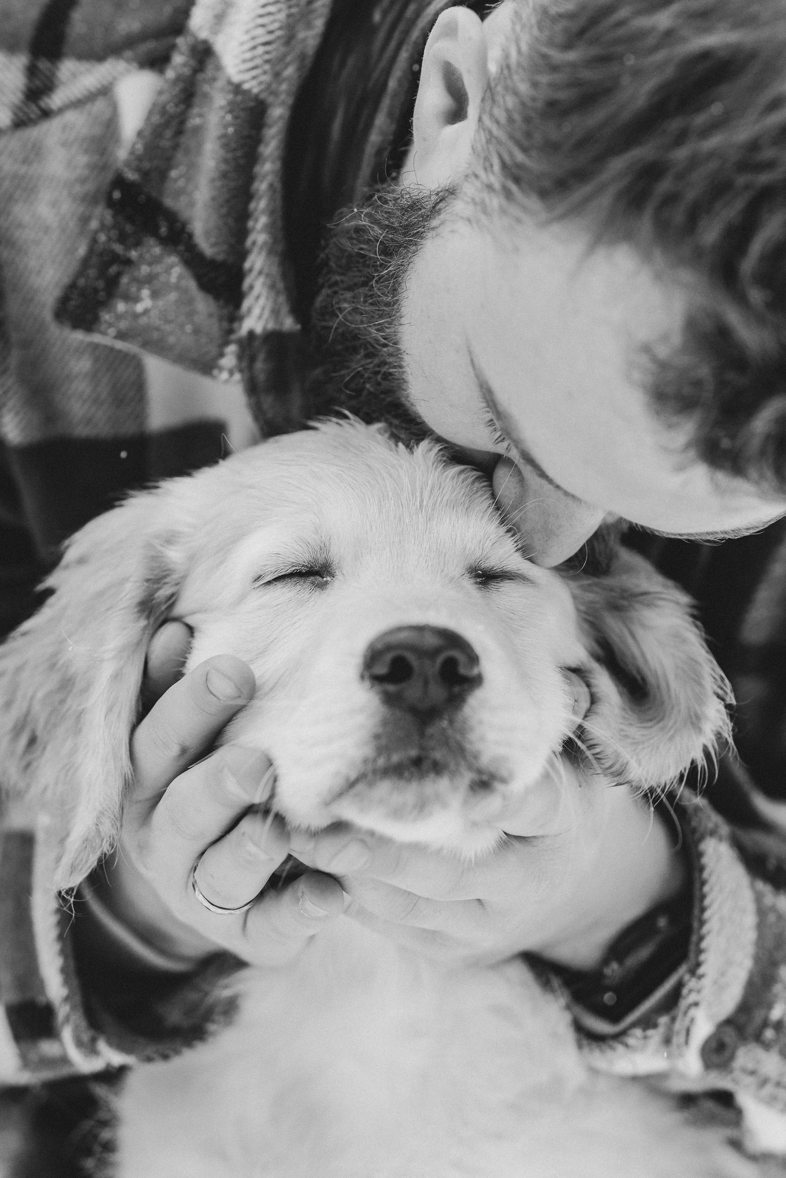 Sonia, Denis & Baggi. Natalia Finch Photography — Family, Kids & Pet Photographer in Chicago, IL