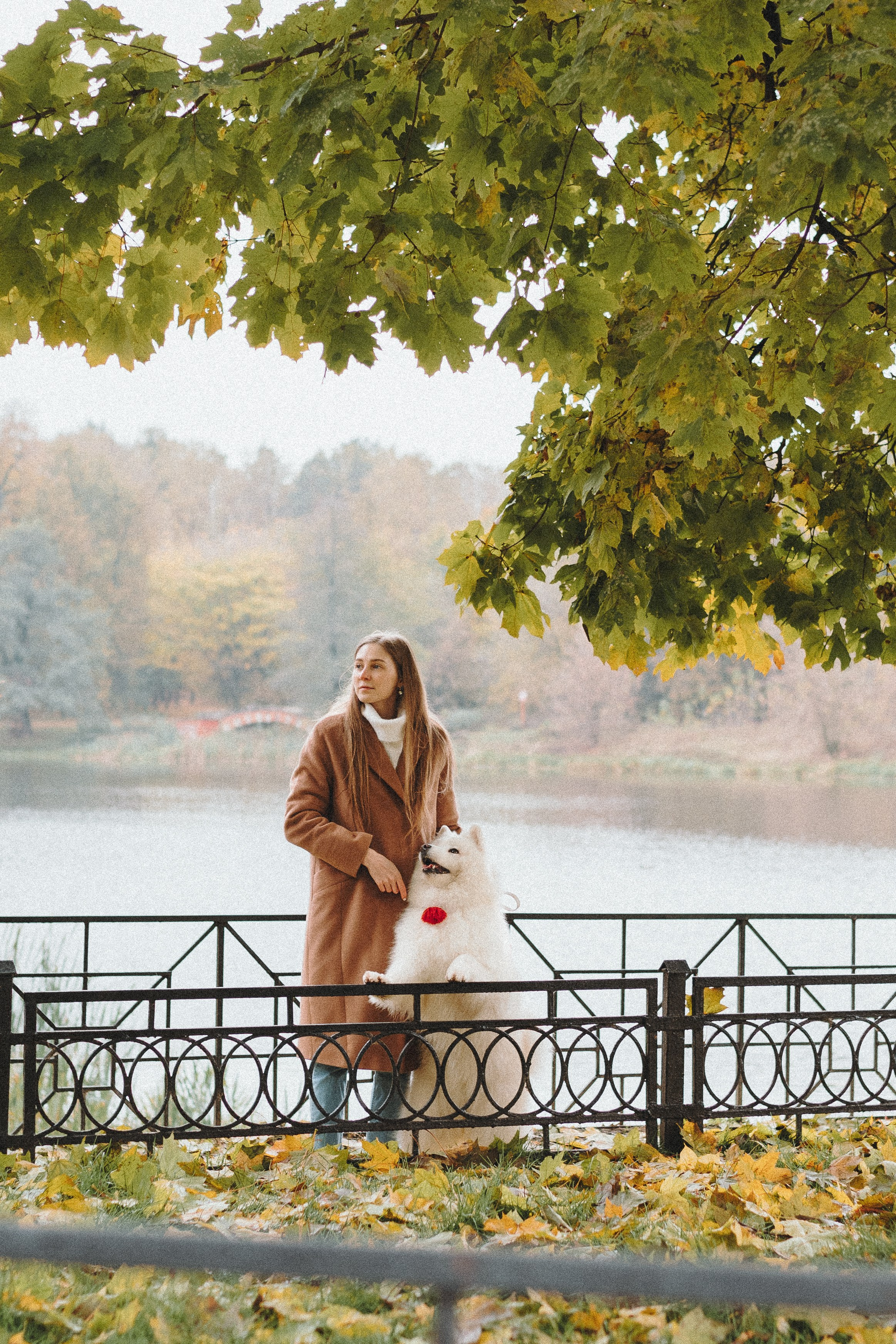 Valya & Varya. Natalia Finch Photography — Family, Kids & Pet Photographer in Chicago, IL