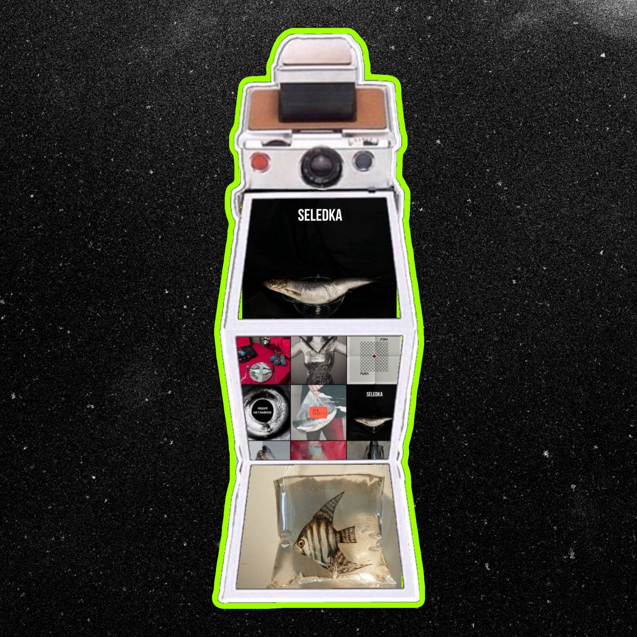 Креативная обработка, коллажи. Креативный визуал * фотограф спб * контент мейкер