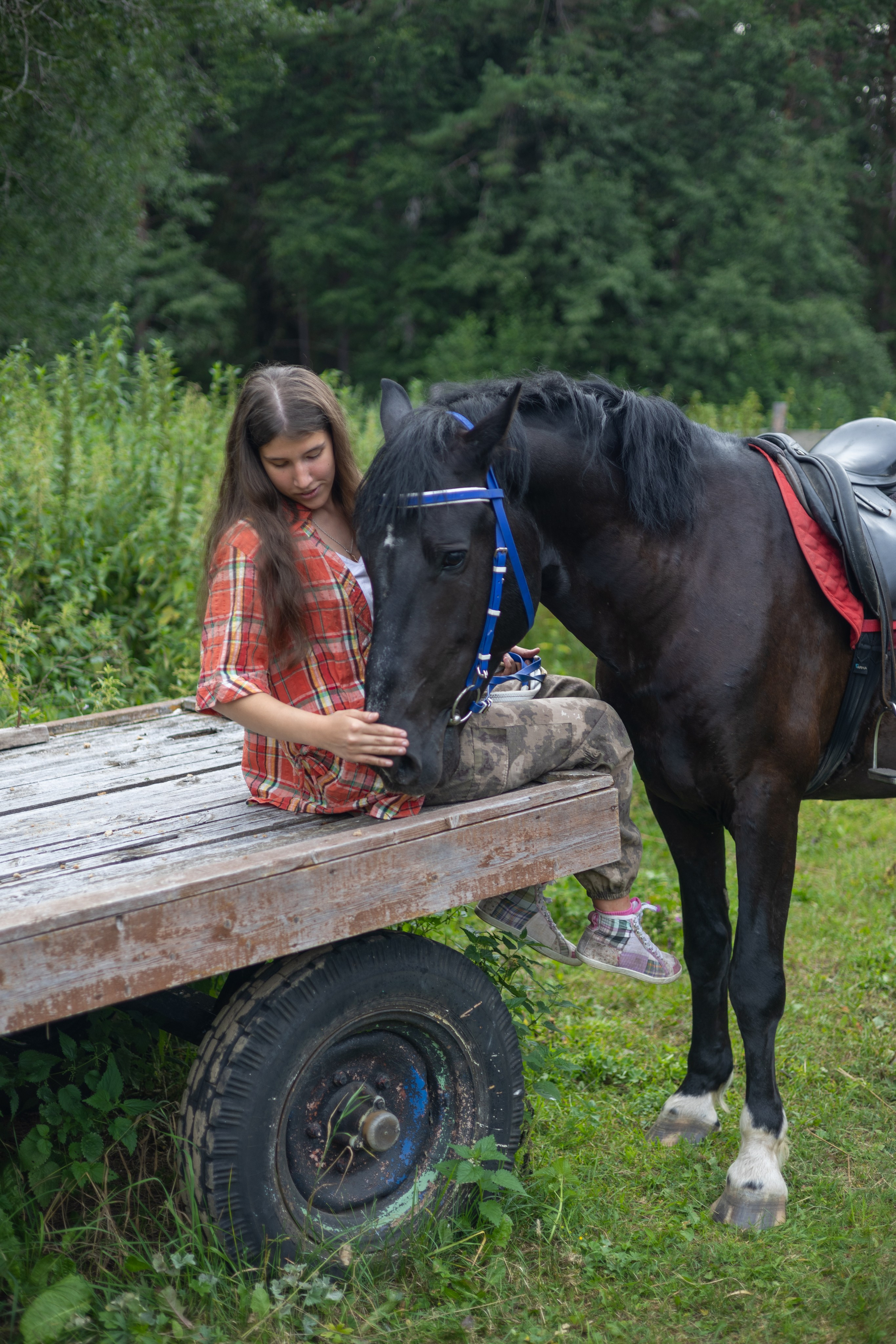 Чародей и Мария
