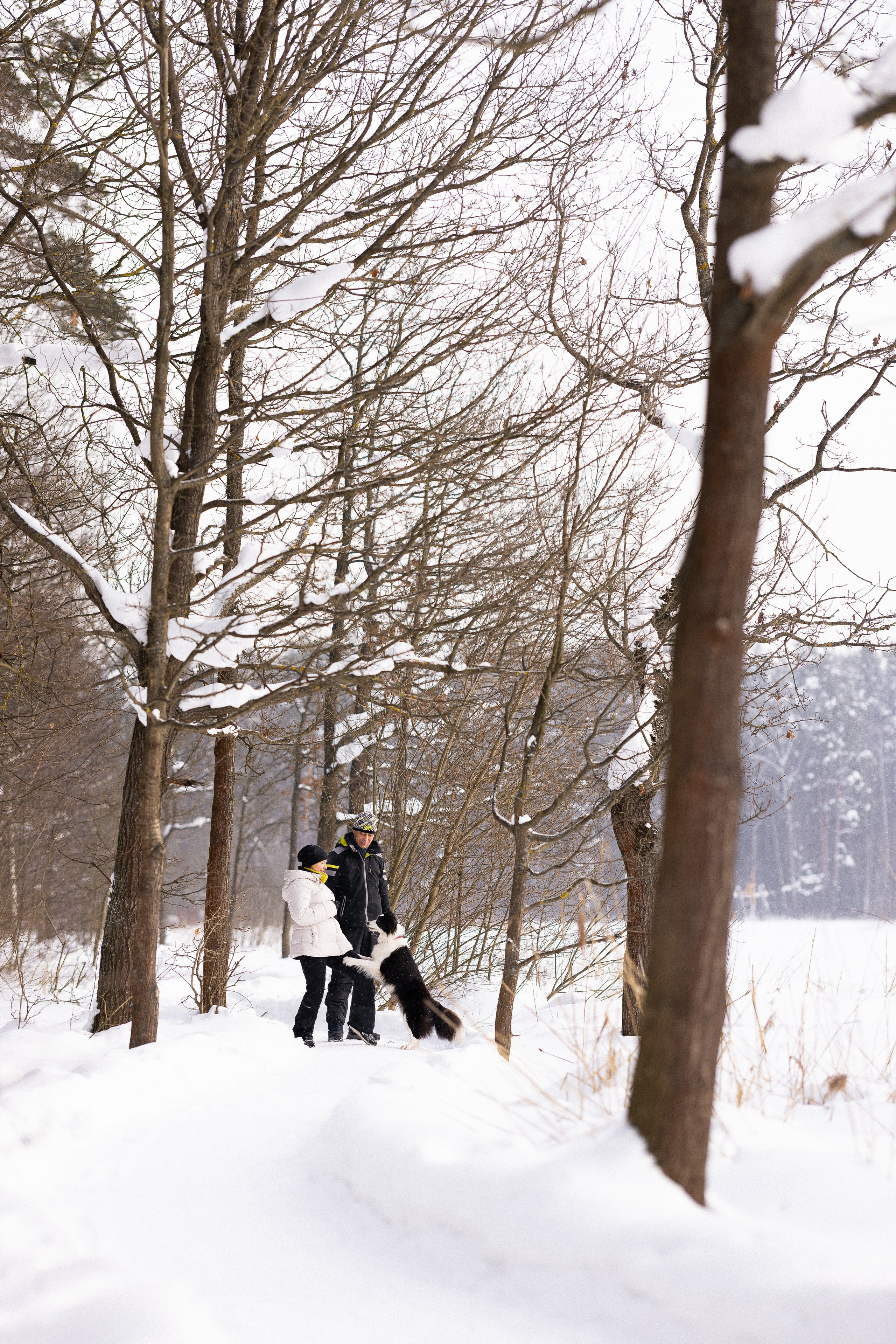 Лилия, Алексей и Ариана. Фотограф и видеограф анималист Аганина Дарья