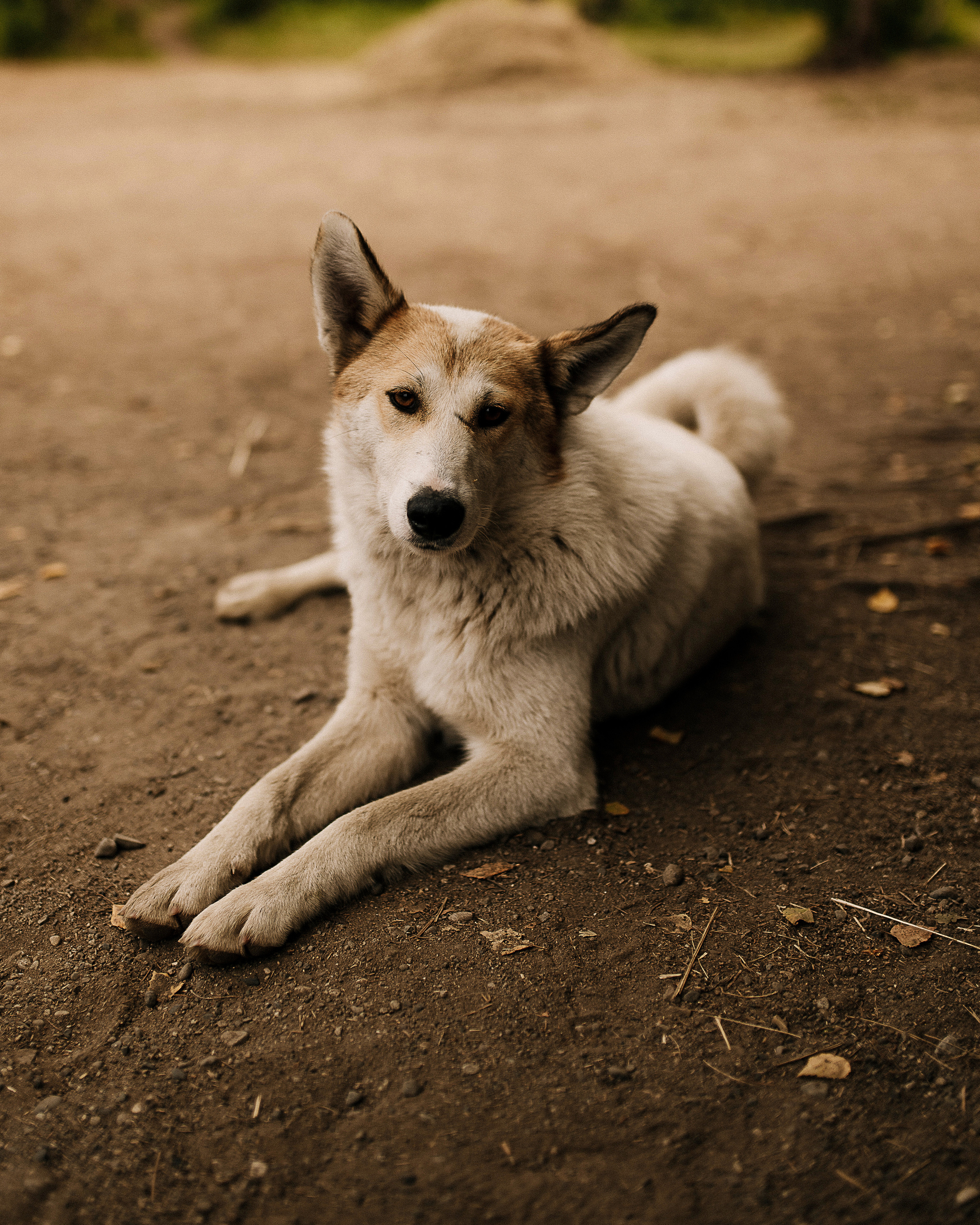 Олег и Мария. Floraphotes