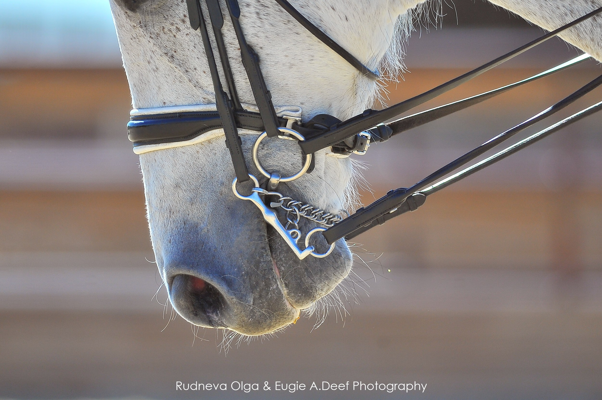Кубок Истринского городского округа по выездке —18 мая 2024. ТУРНИРНАЯ КОННАЯ ФОТОГРАФИЯ, Руднева Ольга и Евгений Адеев