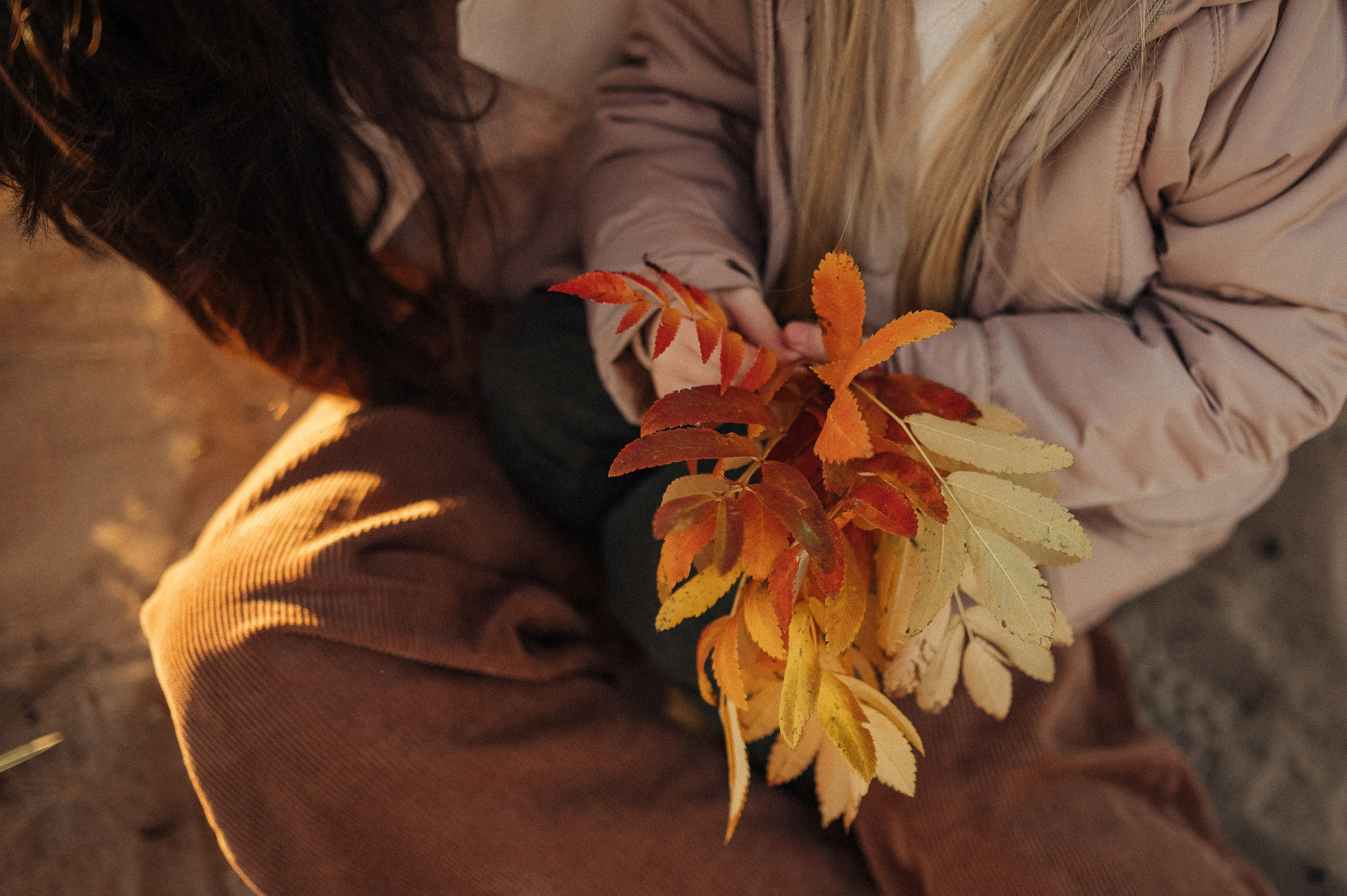 Осеннее. Фотограф и видеограф в Санкт-Петербурге Полина Янушко. Съёмка родов