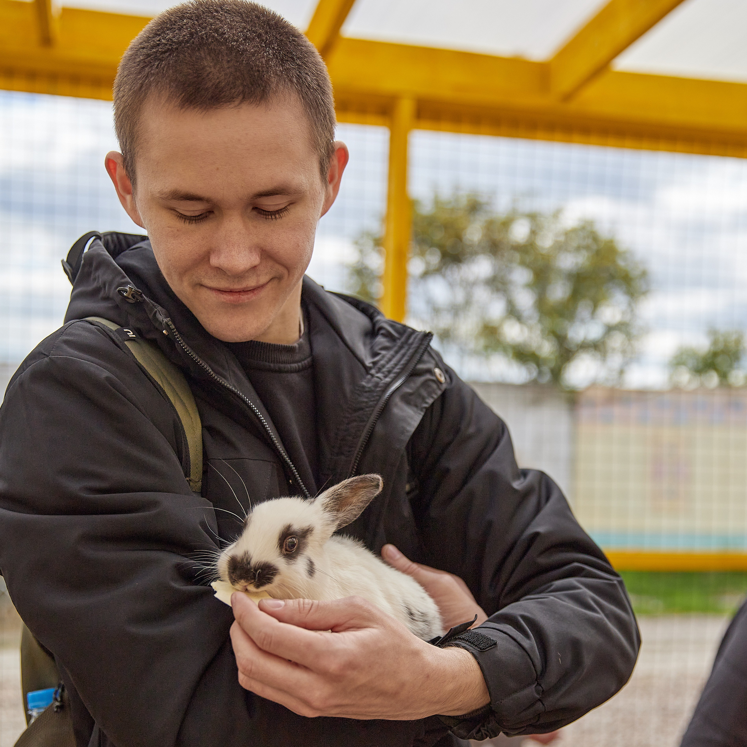 На ферме. Главная