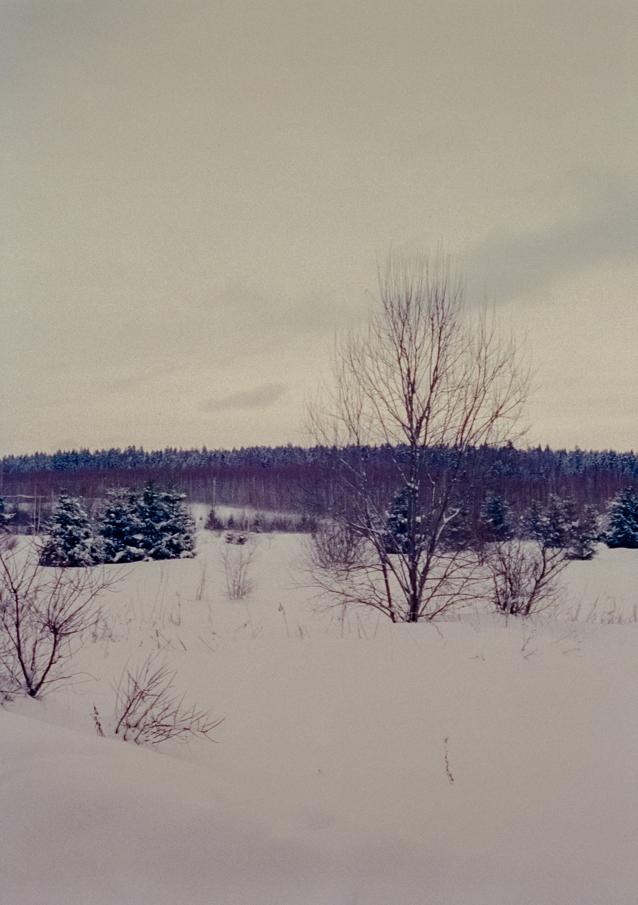 Olympus Pen EED / Kodak Vision 3 500T