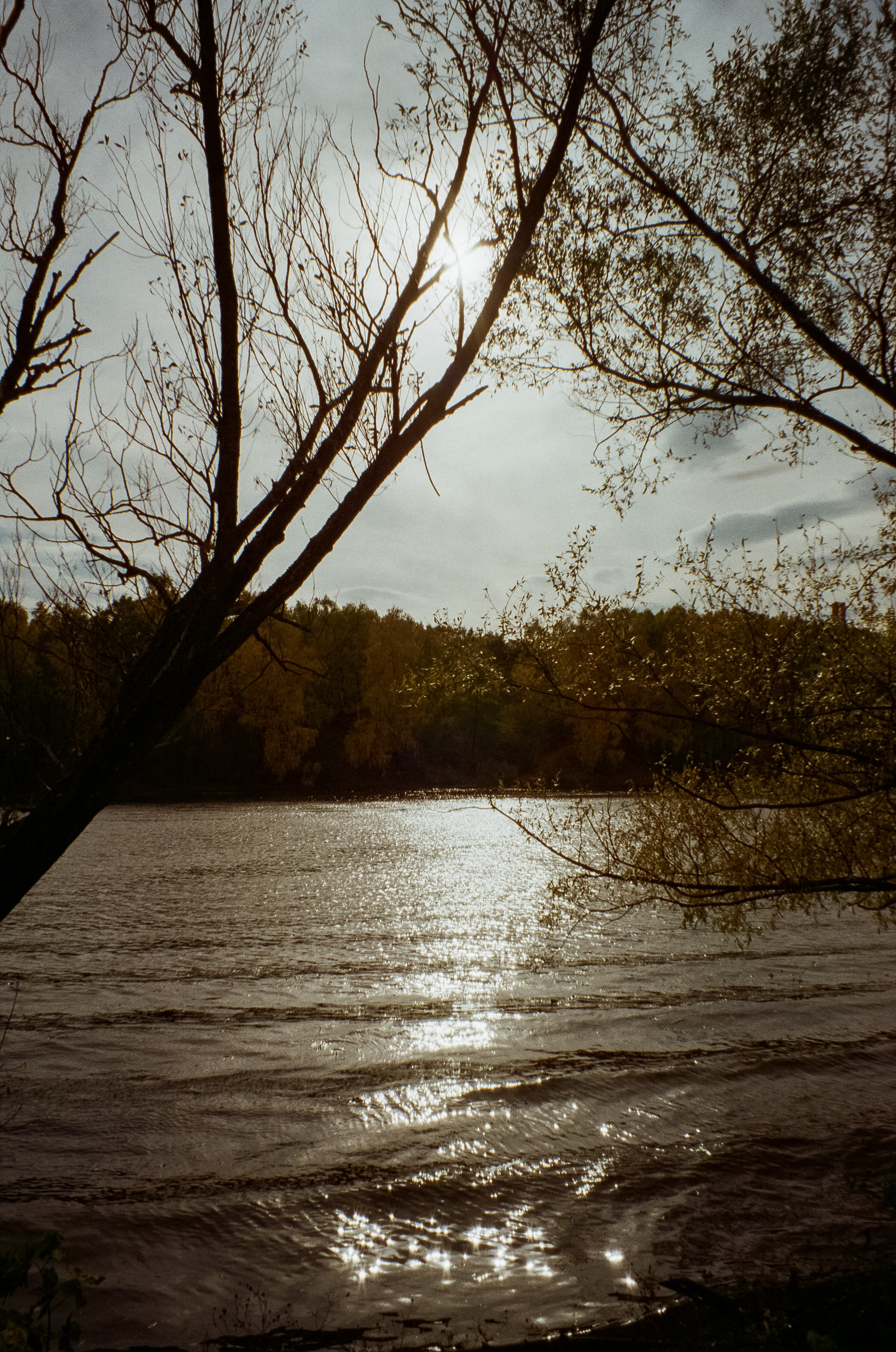 Осень на Kodak Gold 200