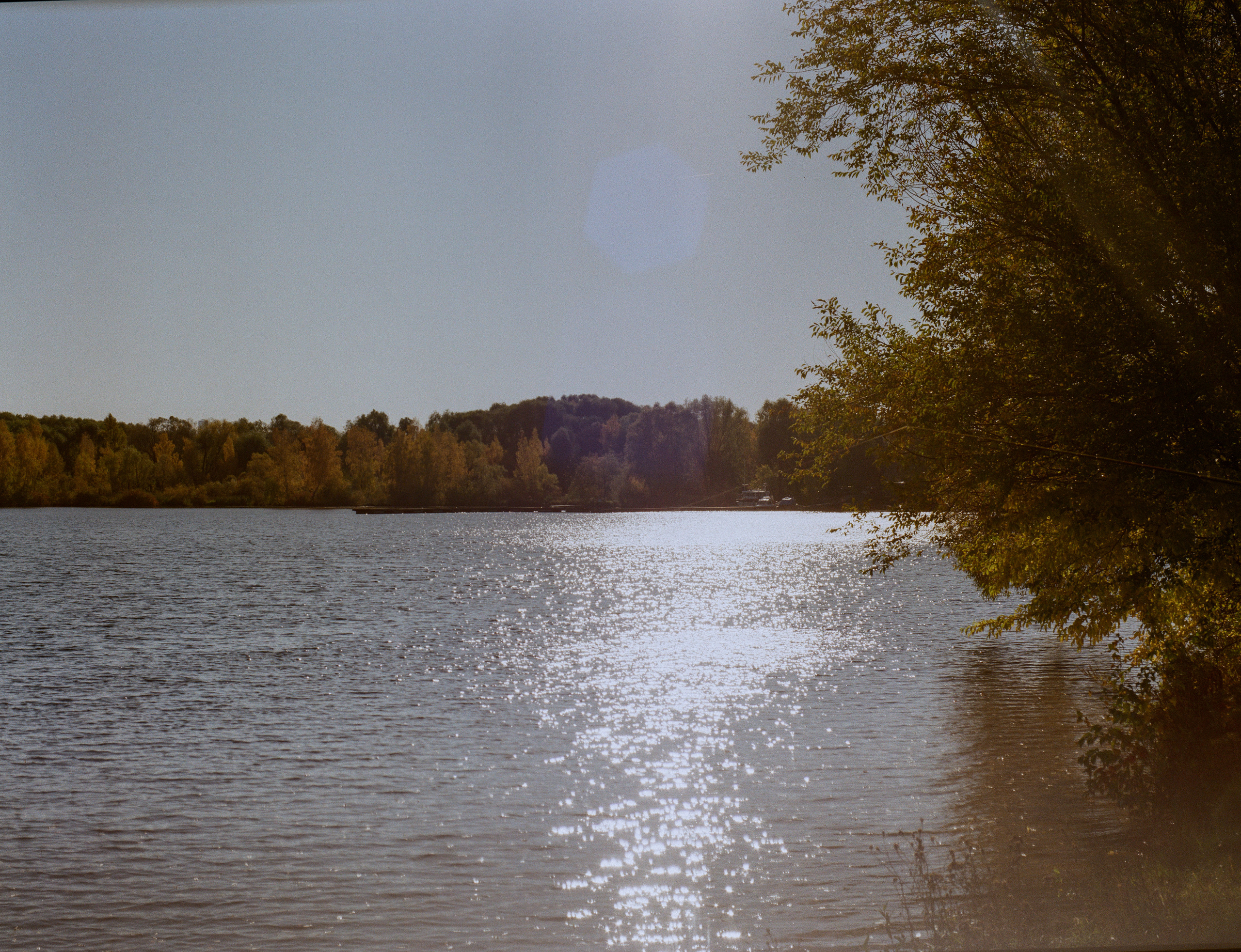 Mamiya-Sekor C 80mm f1.9