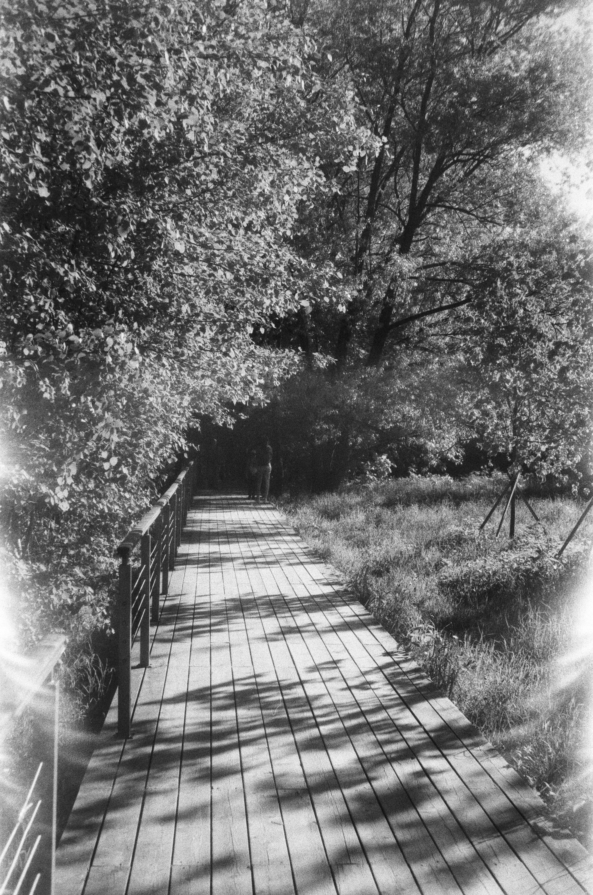 Braun Paxette примеры фотографий