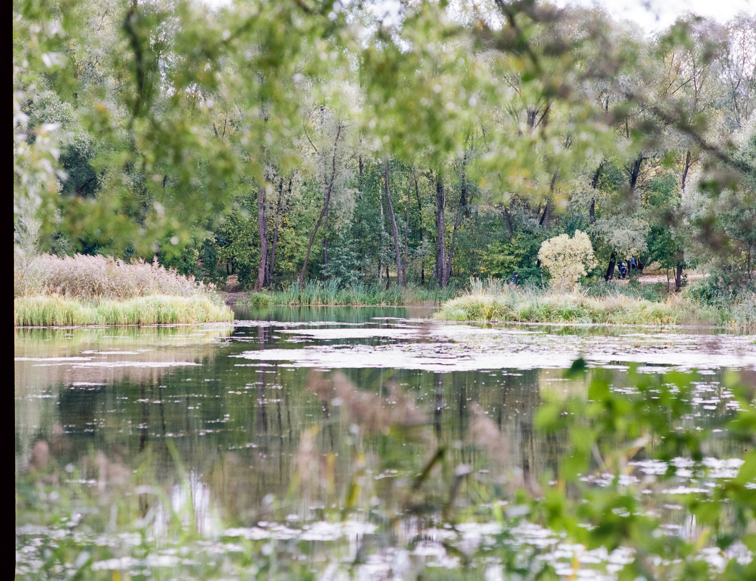 Zenza Bronica ETR — Zenzanon 150 f3.5 / Kodak Portra 160