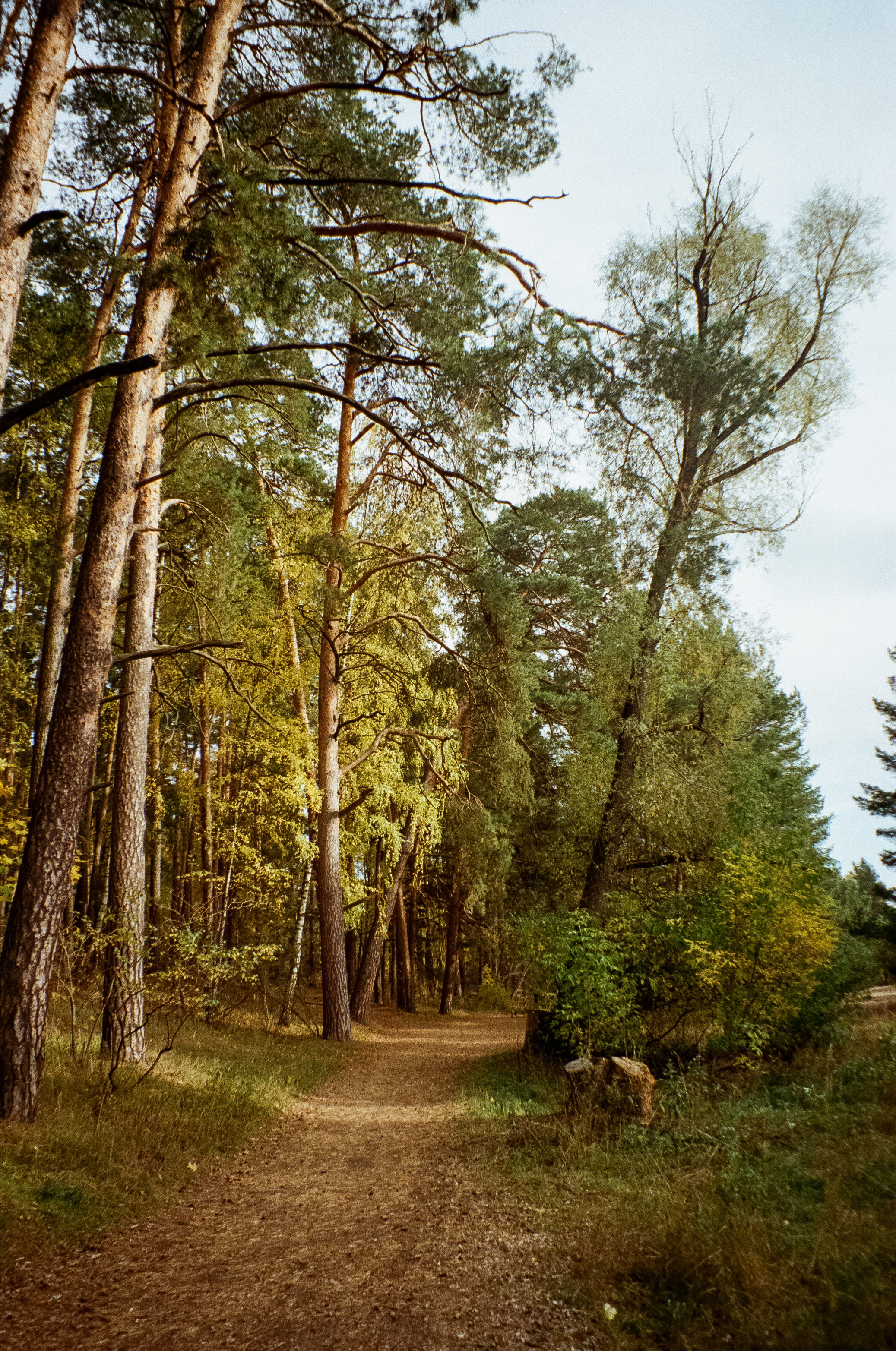 Осень на Kodak Gold 200