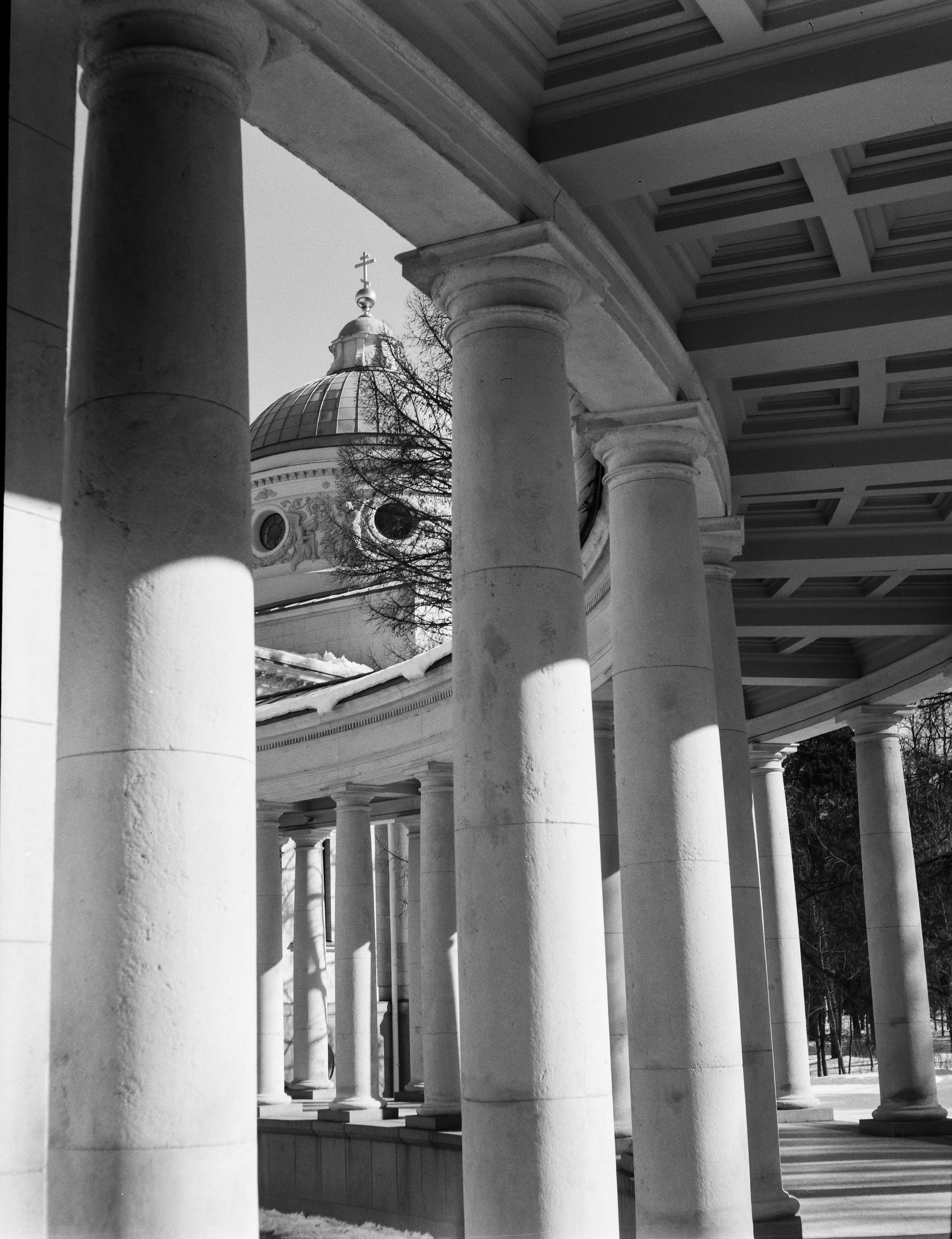 Ilford FP4 Plus ISO 125 / Zeiss Ikon Ikonta 521