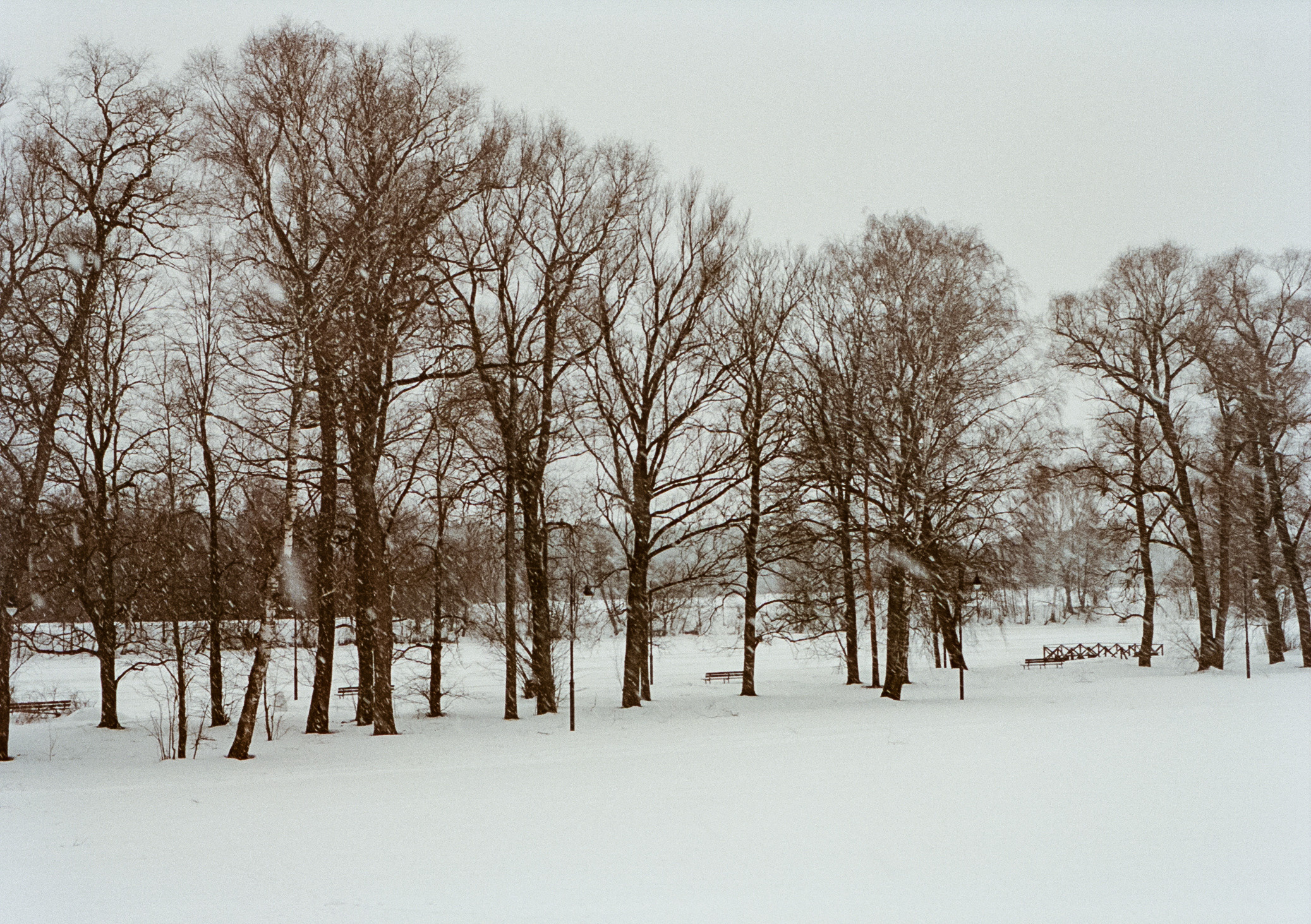 Kodak Aerocolor IV / Olympus Pen FT