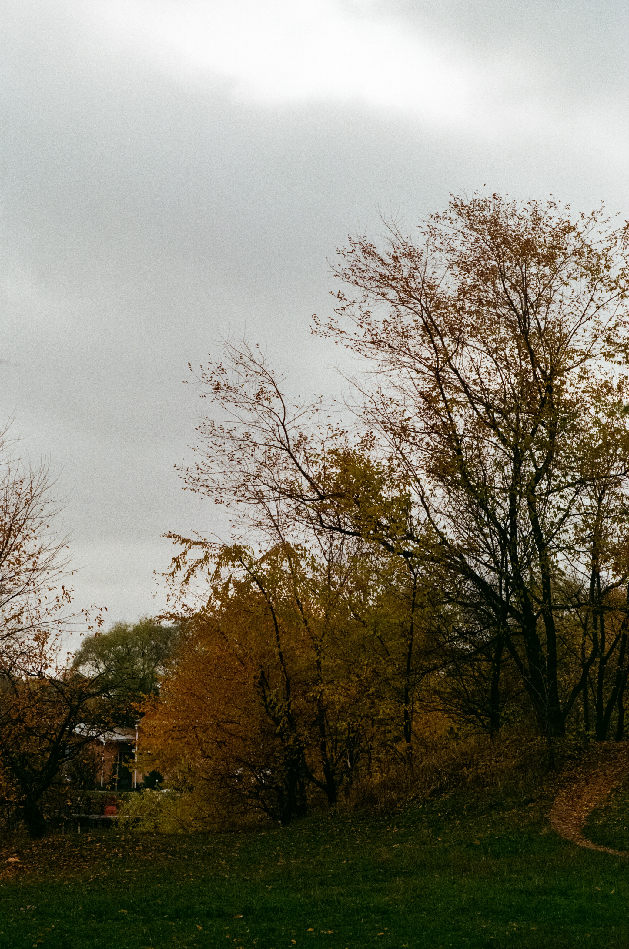 Московская осень на Kodak Gold 200