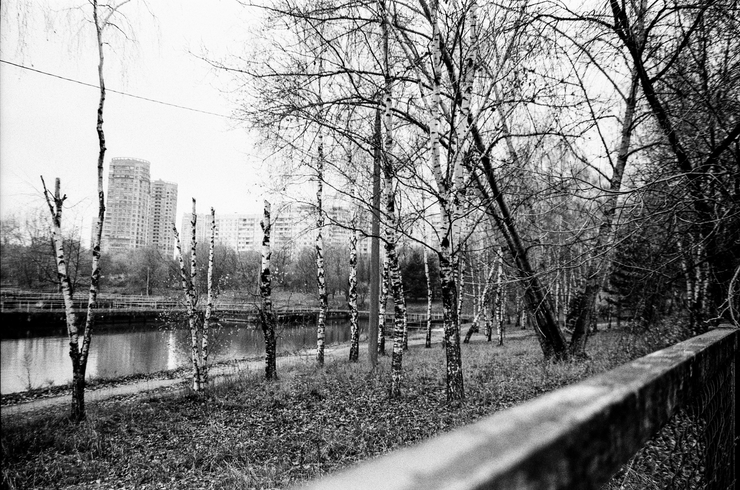 Nikon F80 — Voigtlander Ultron 28-105mm f2.8-3.8 / SFL T-42 ISO 400