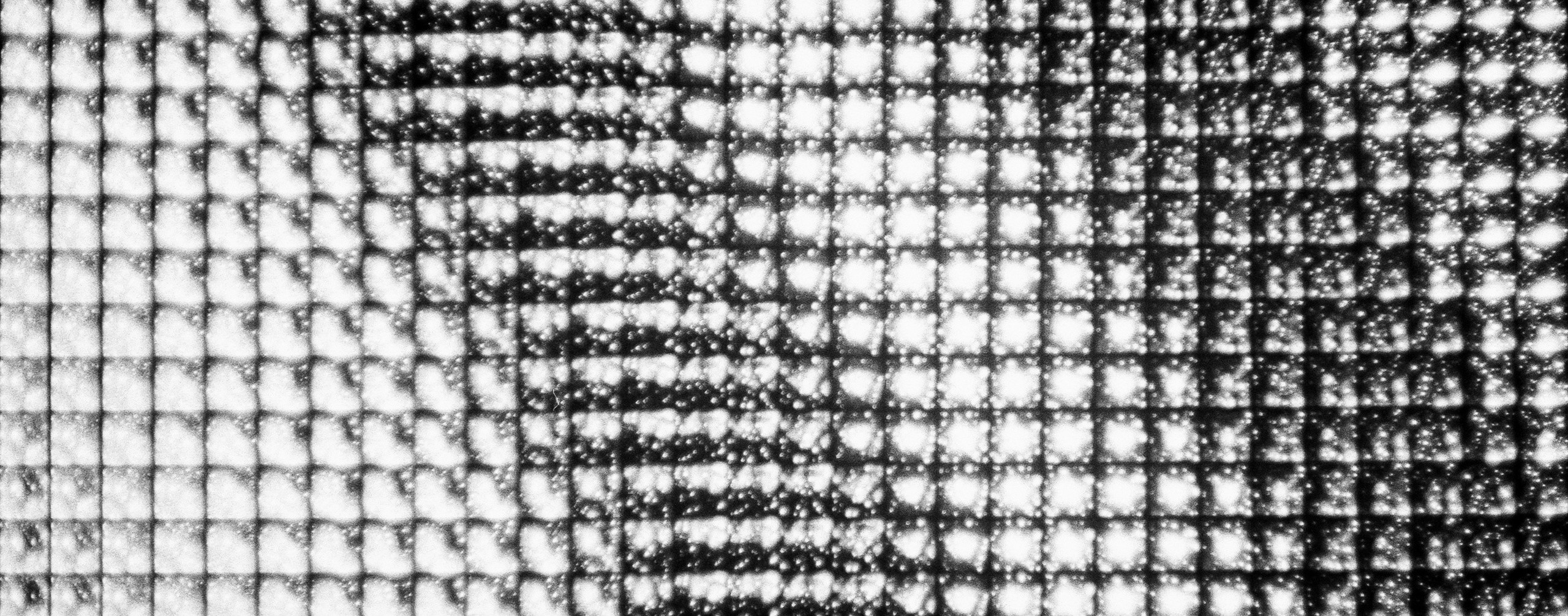 Мультимедиа Арт Музей на Canon Canonet QL17 G-III QL