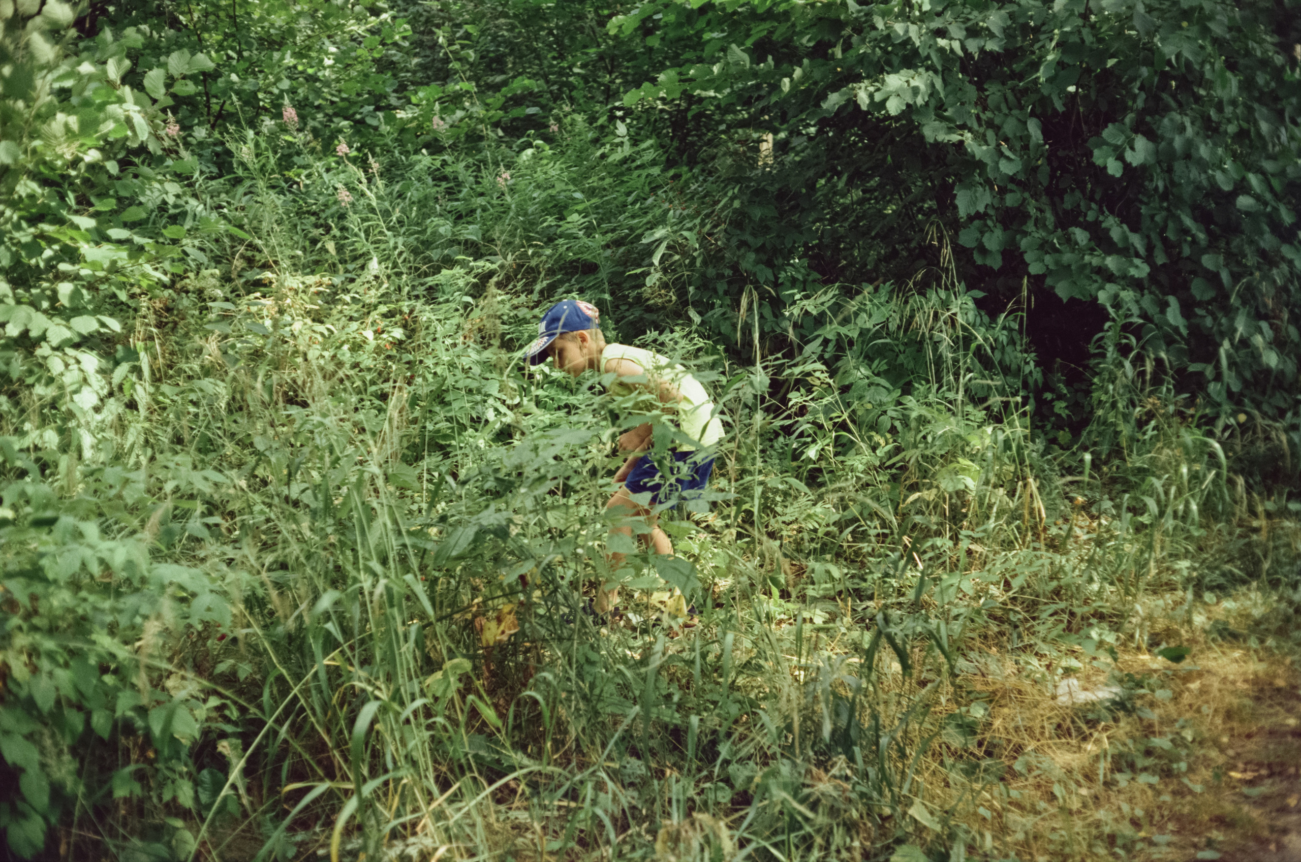 Canon Canonet QL17 G-III QL