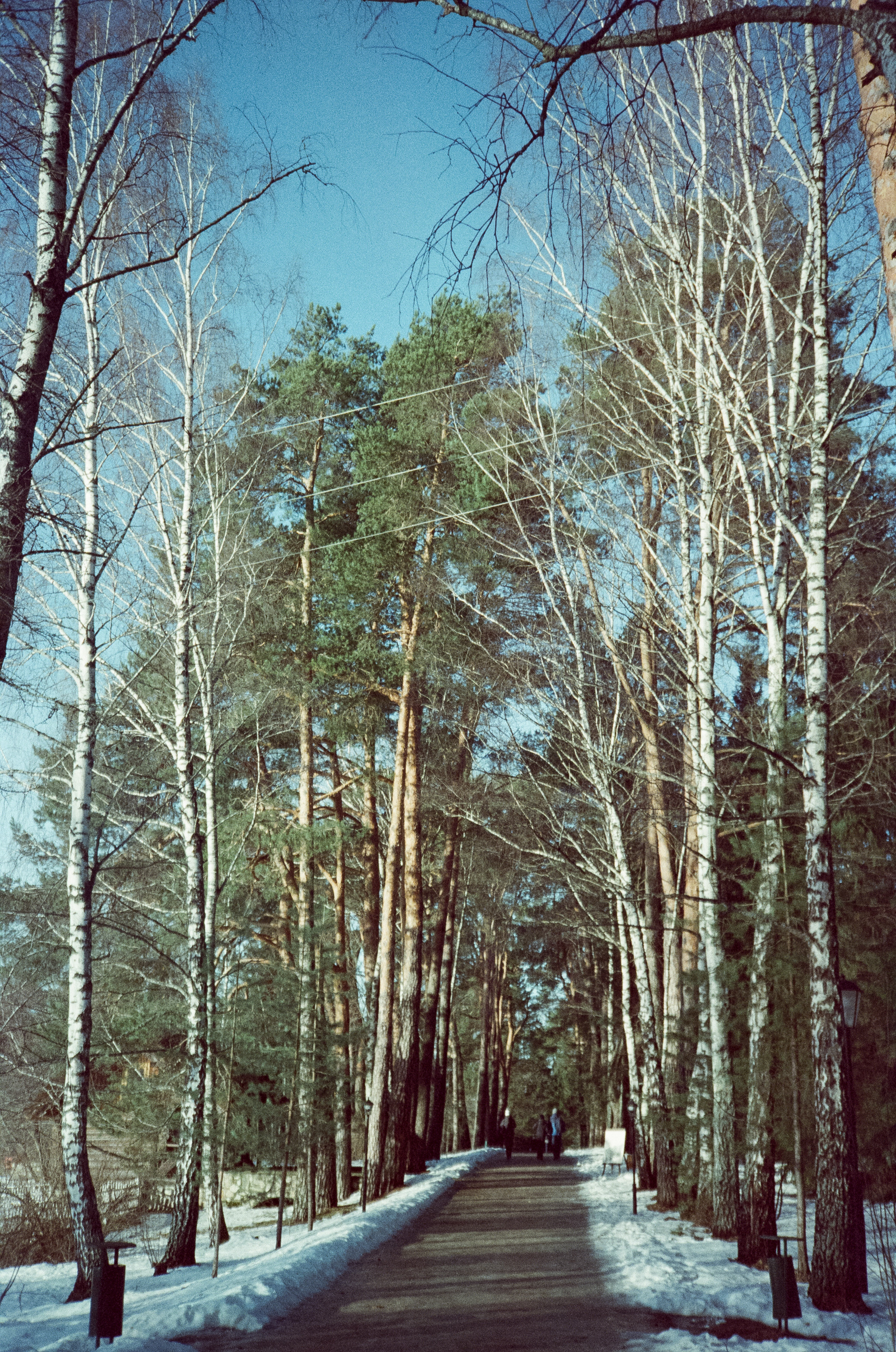 Примеры фотографий на Fuji DL-300 (Поленово)